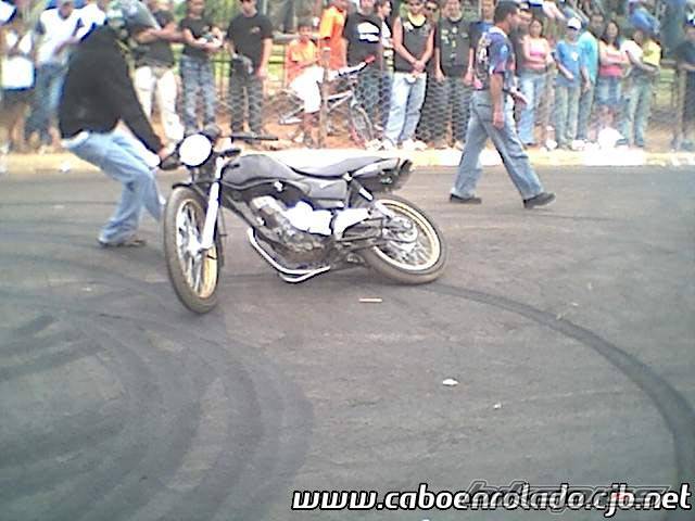 Photo 235659