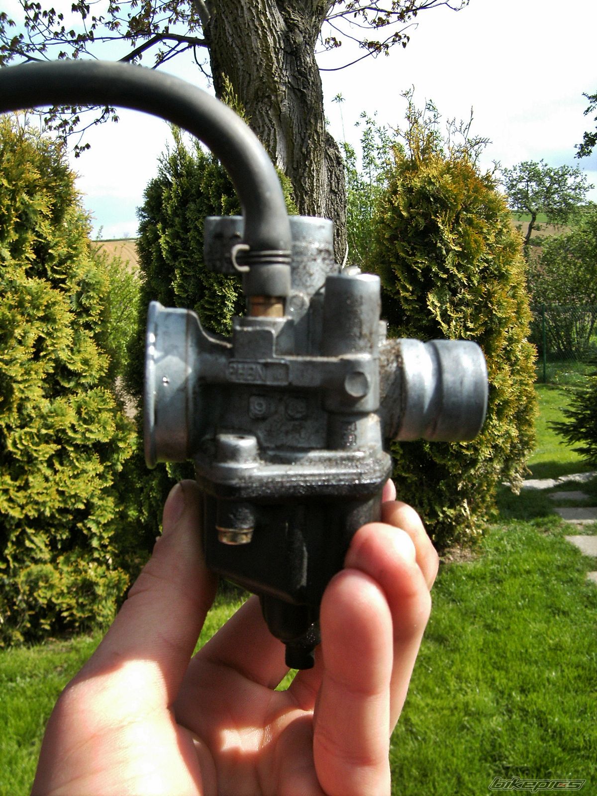 Photo 2356597