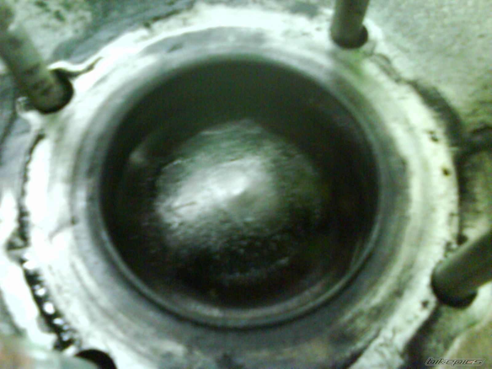 Photo 2356617