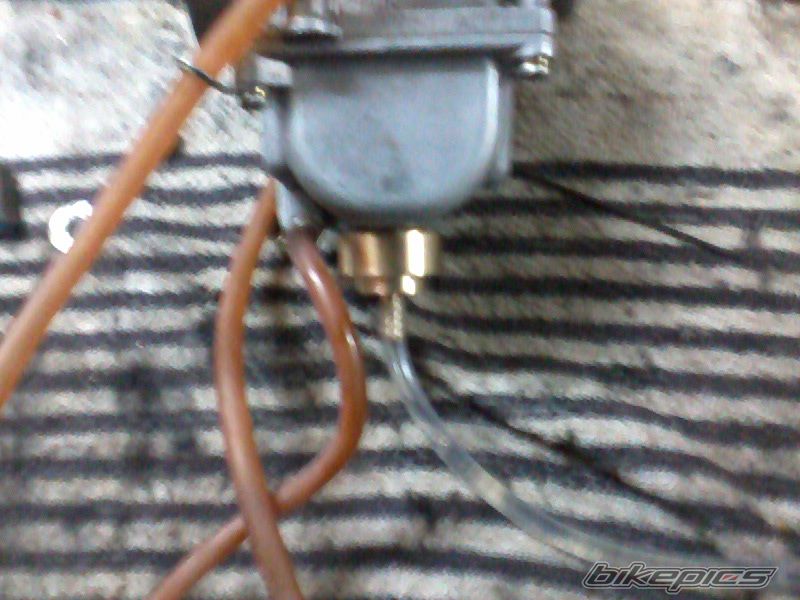Photo 2356746