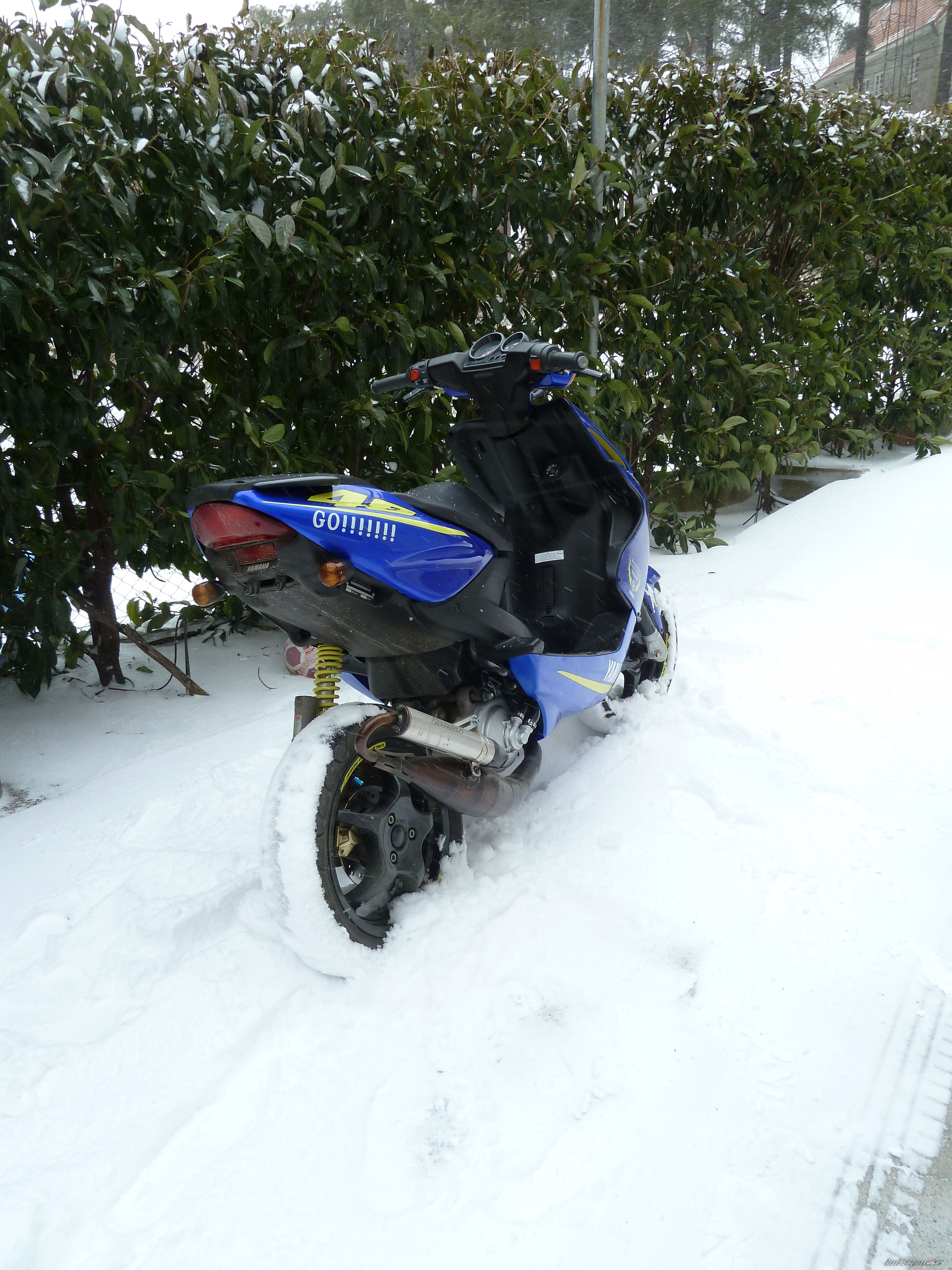 Photo 2356785