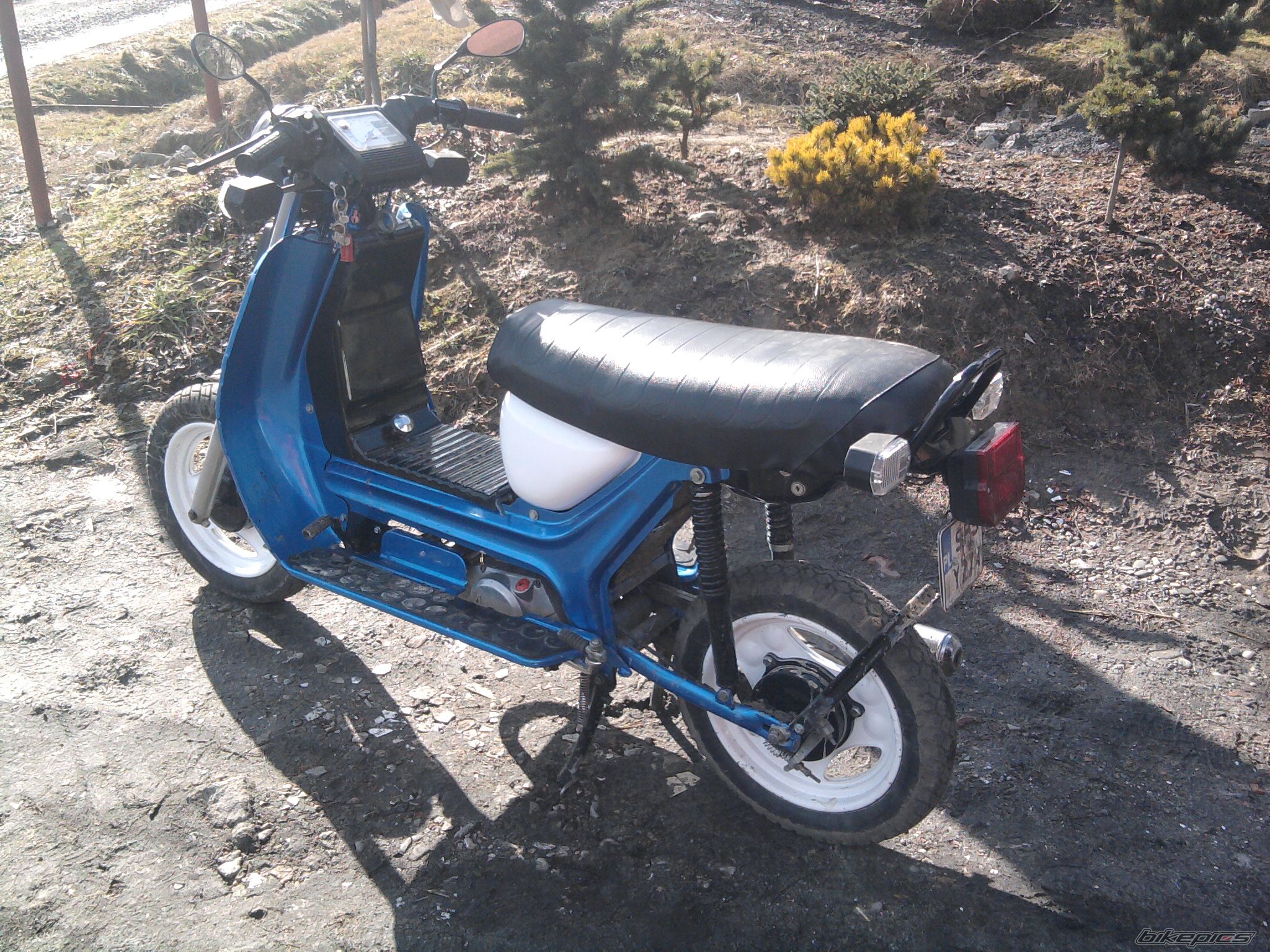 Photo 2357187