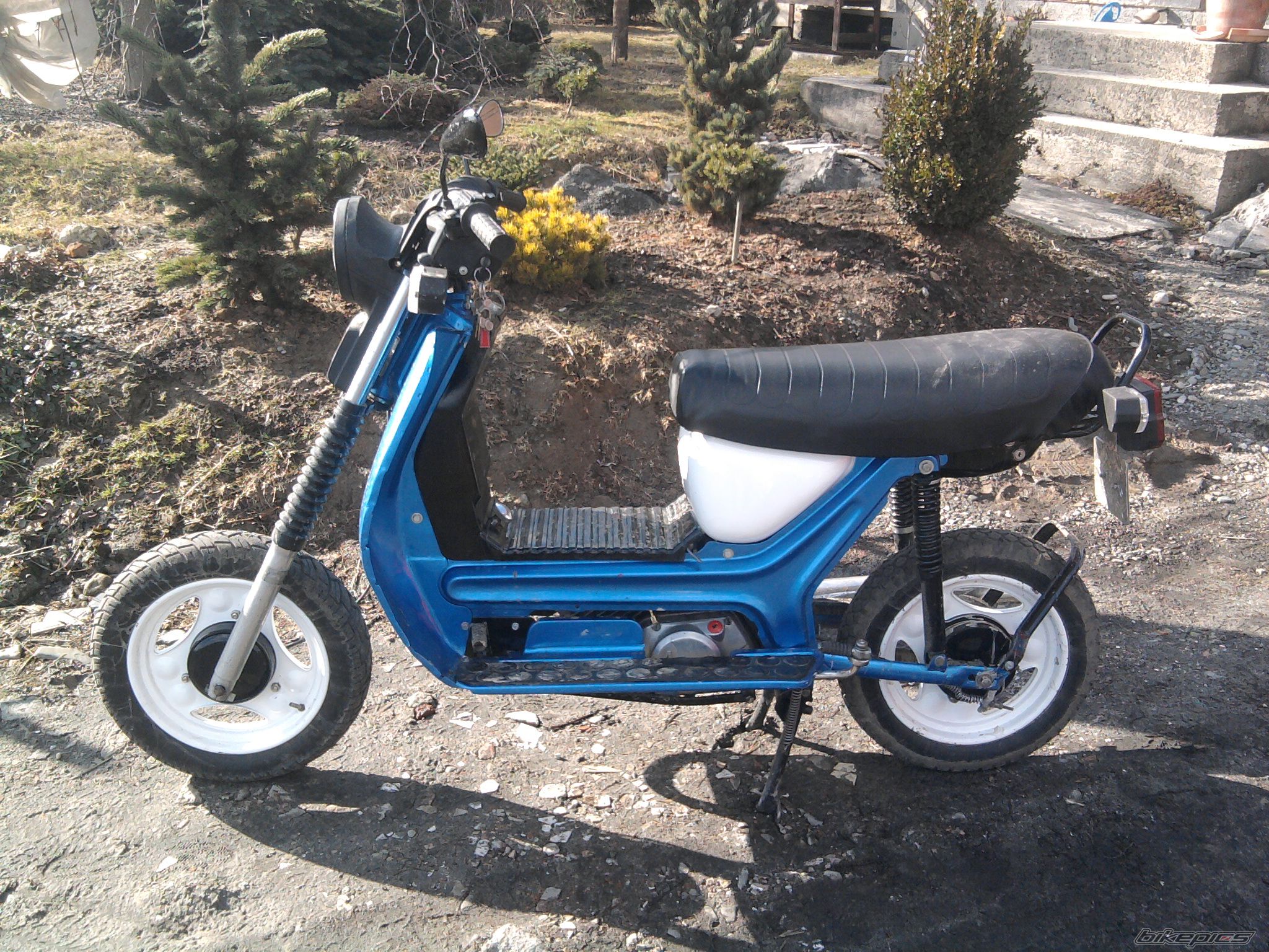 Photo 2357191