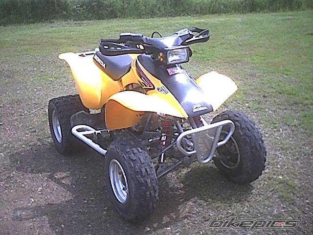 Photo 235724