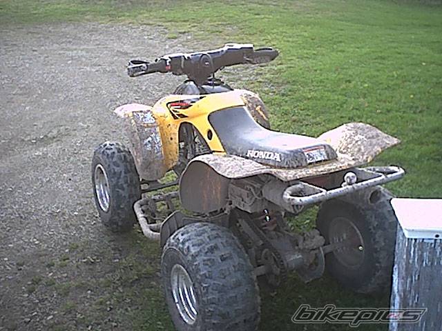 Photo 235725