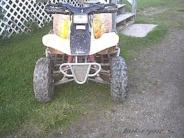 Photo 235726