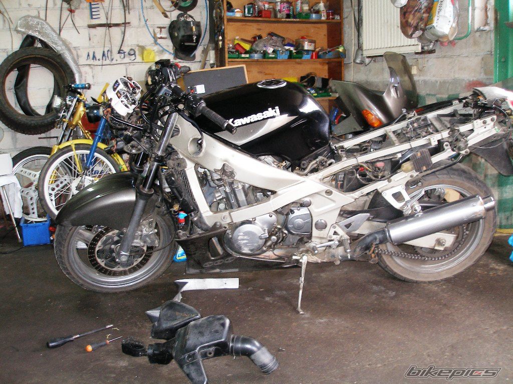 Photo 2357263