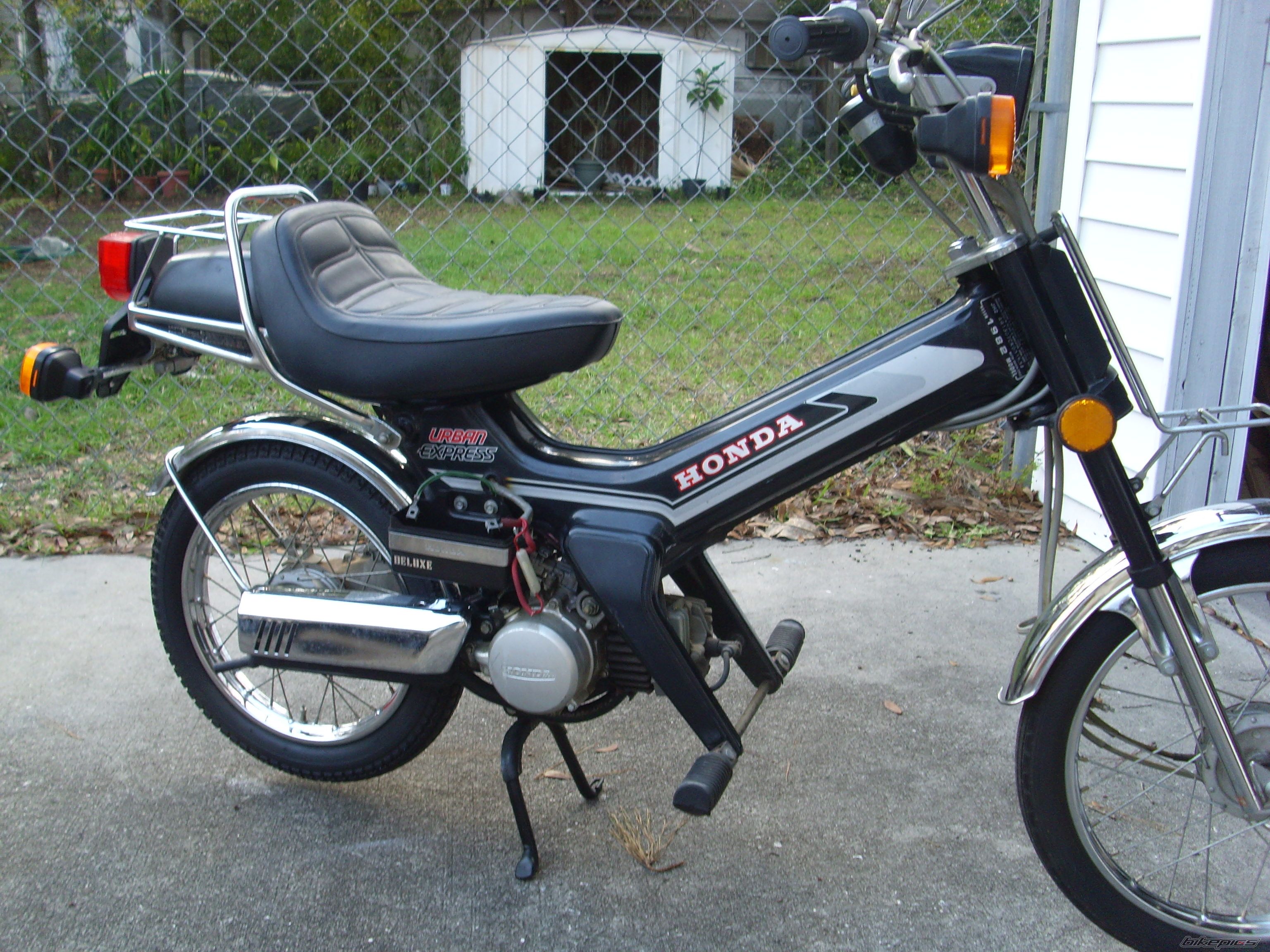 Photo 2357275