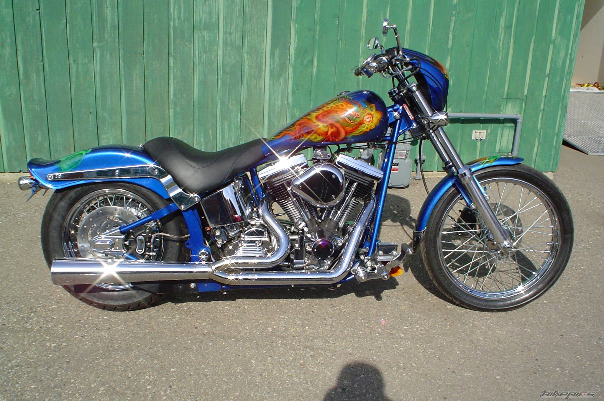 Photo 235729