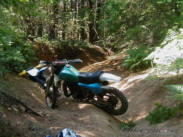 Photo 2357293