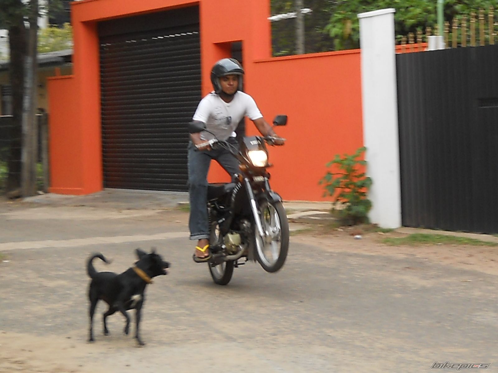 Photo 2357321