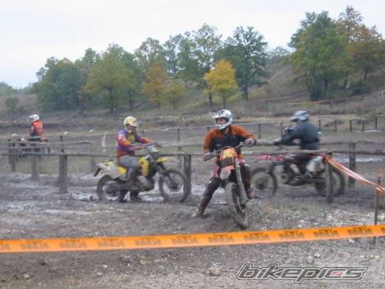 Photo 235750