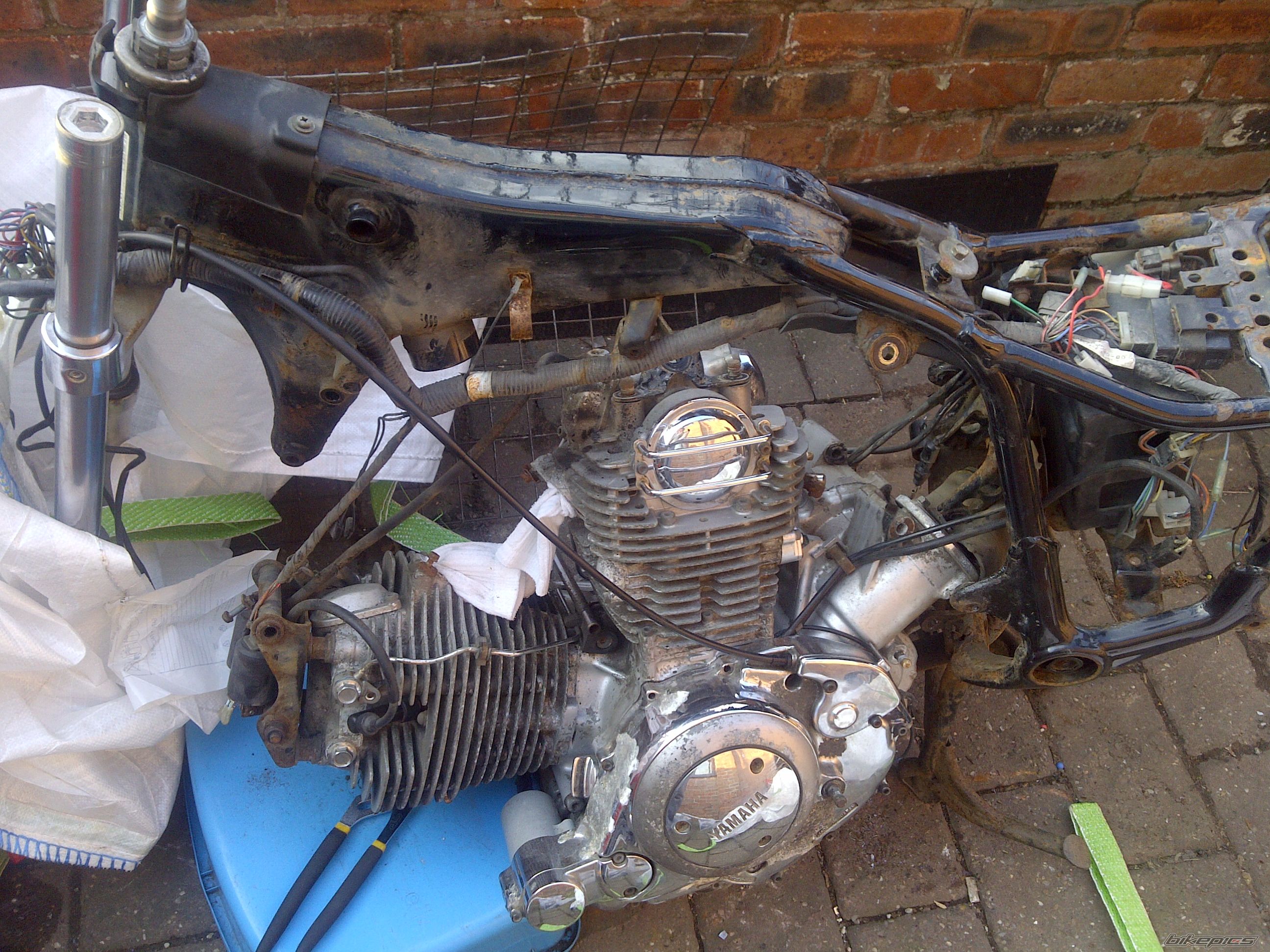 Photo 2357511
