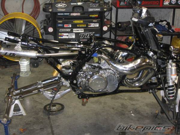 Photo 235766