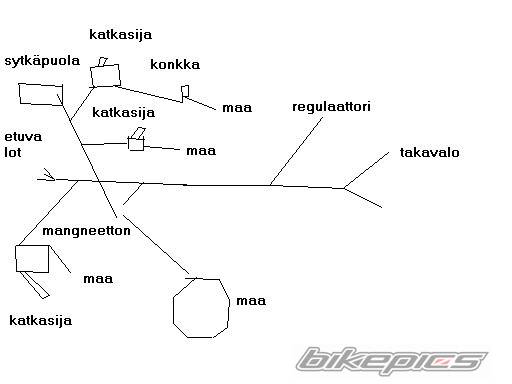 Photo 235767