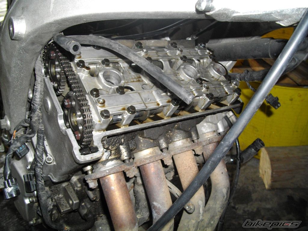 Photo 2357761
