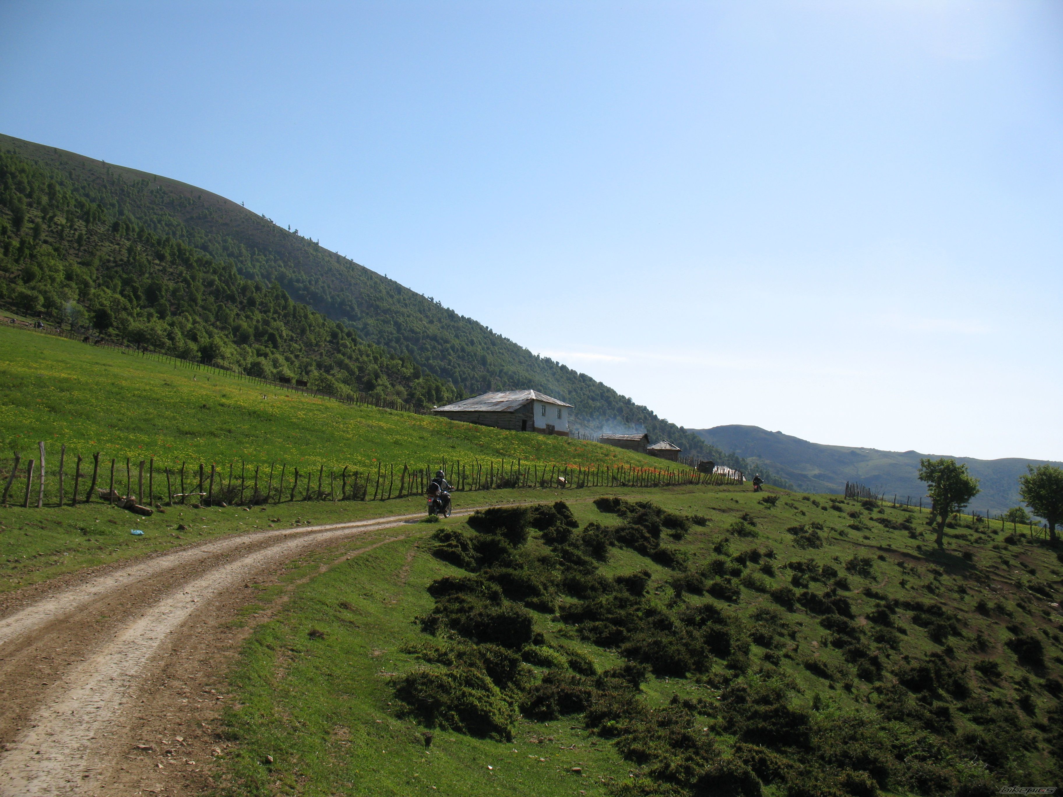 Photo 2357779
