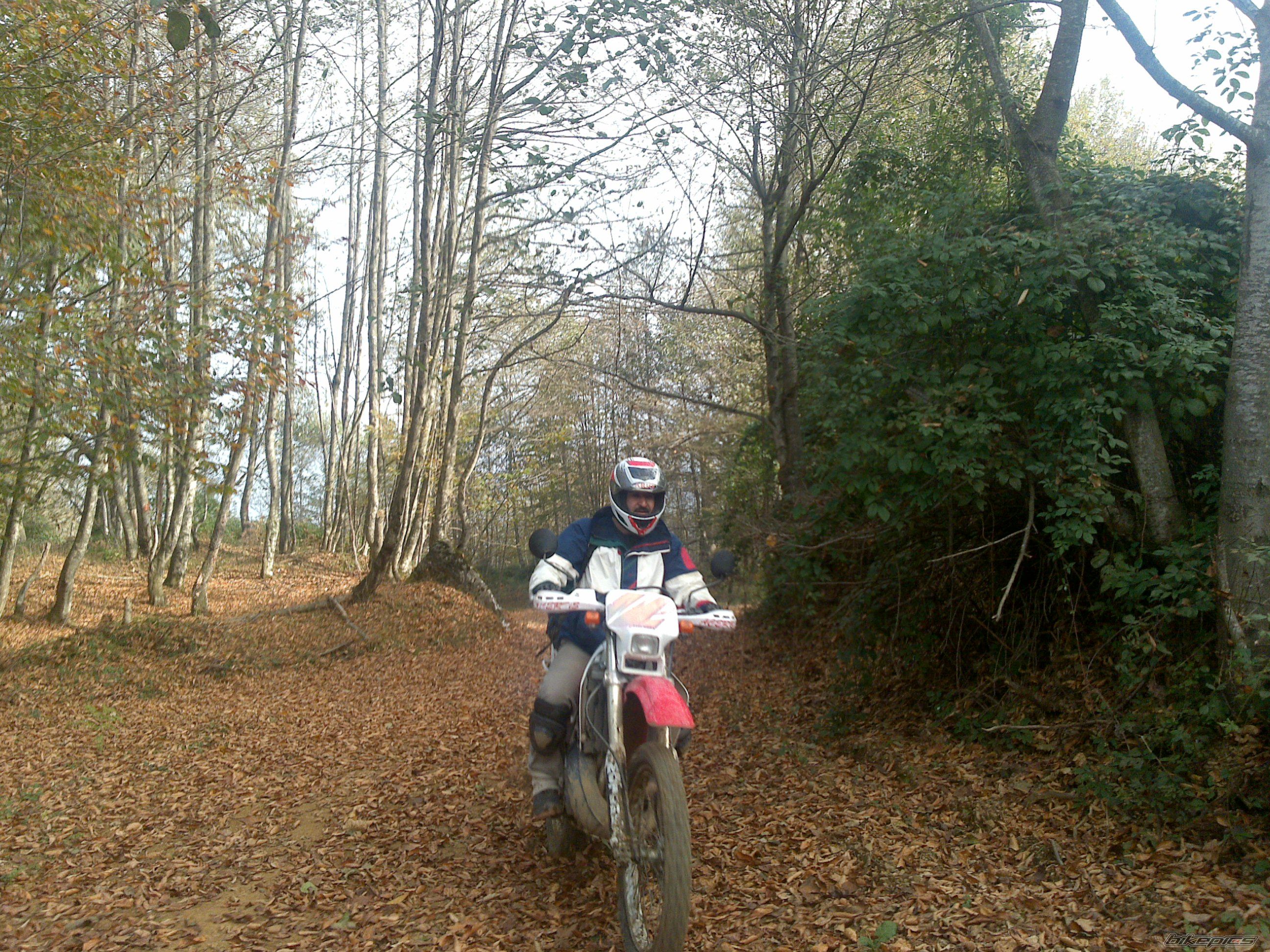 Bike Photo 2357794