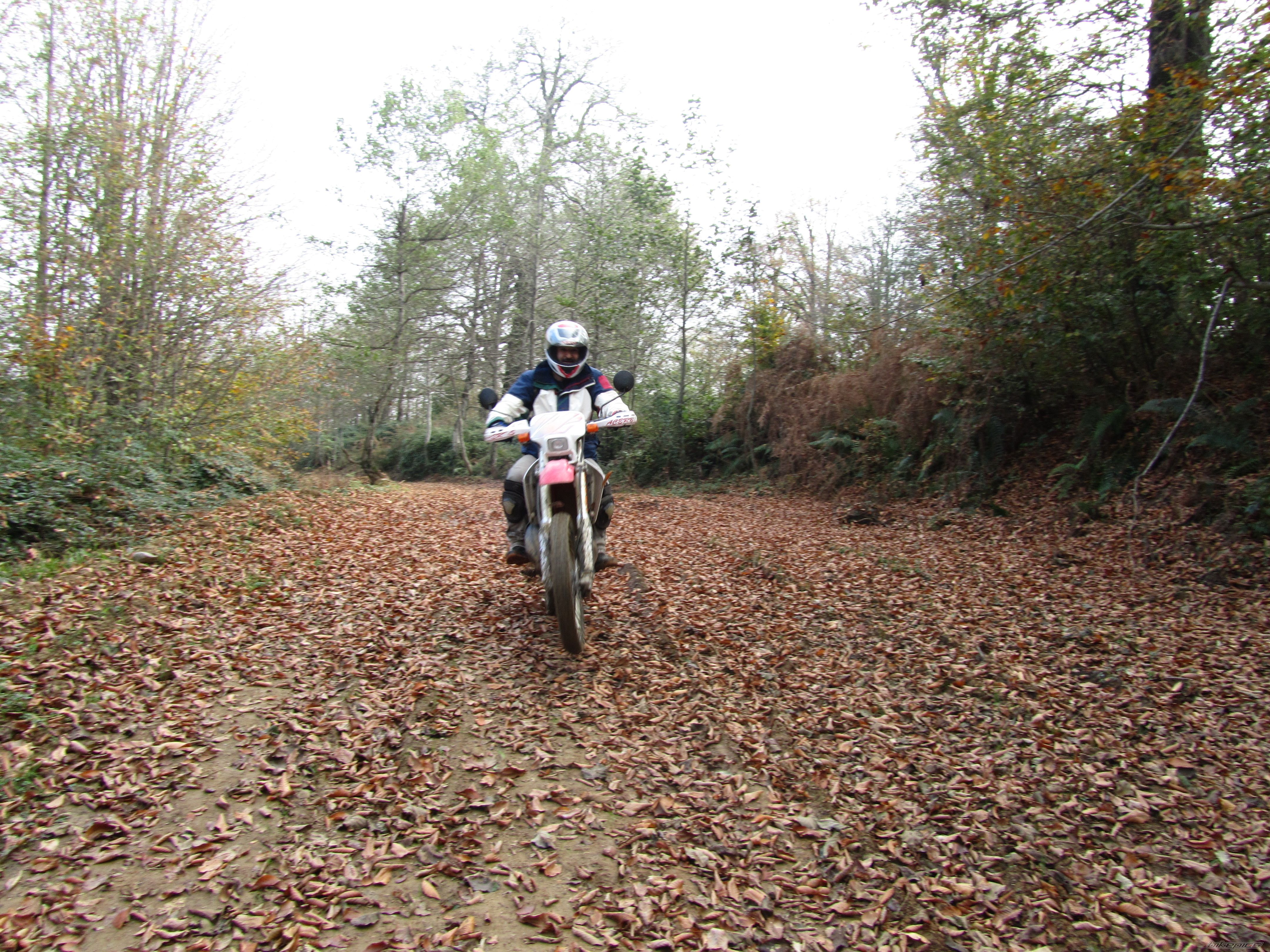 Bike Photo 2357804