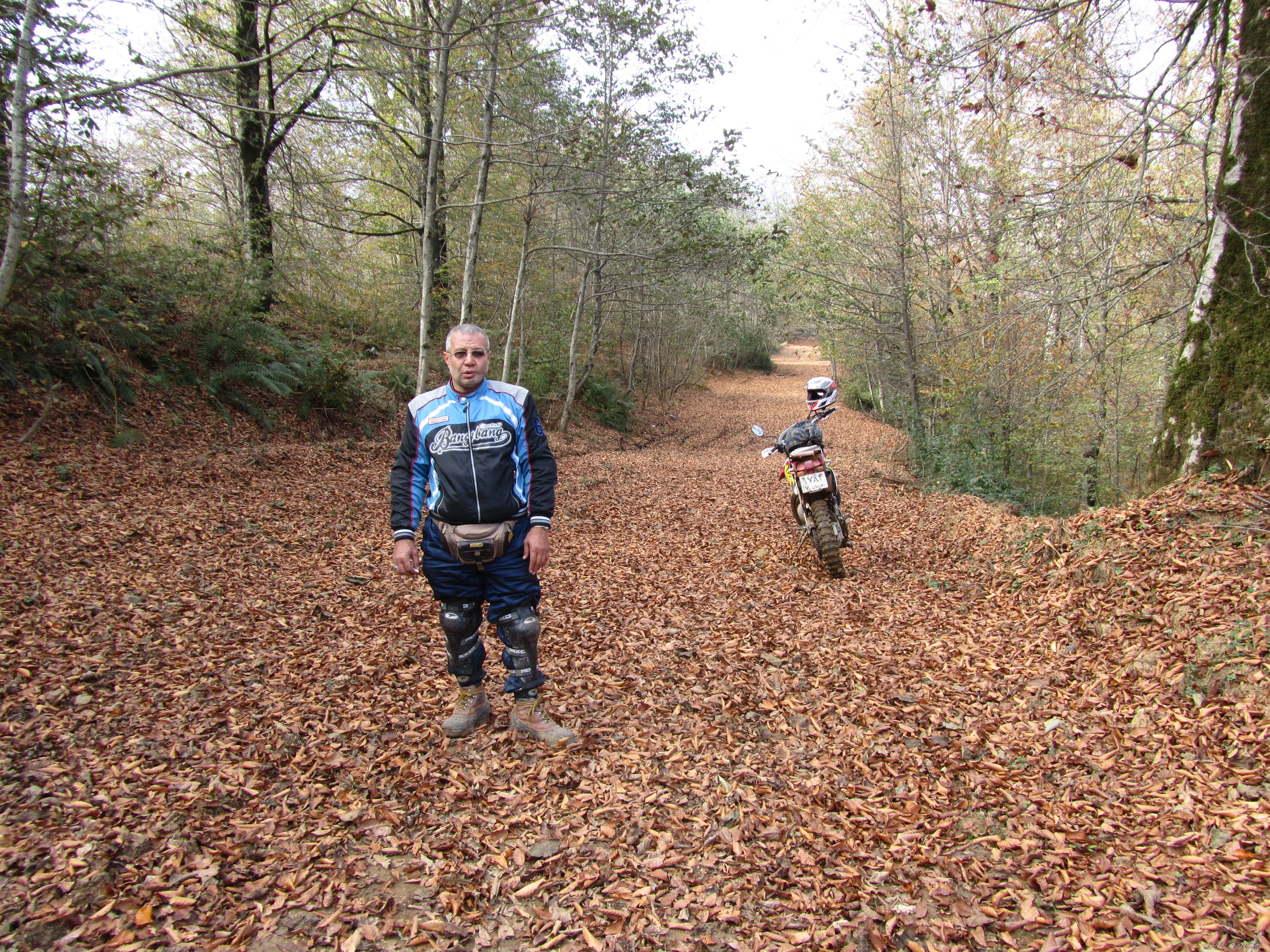 Bike Photo 2357806