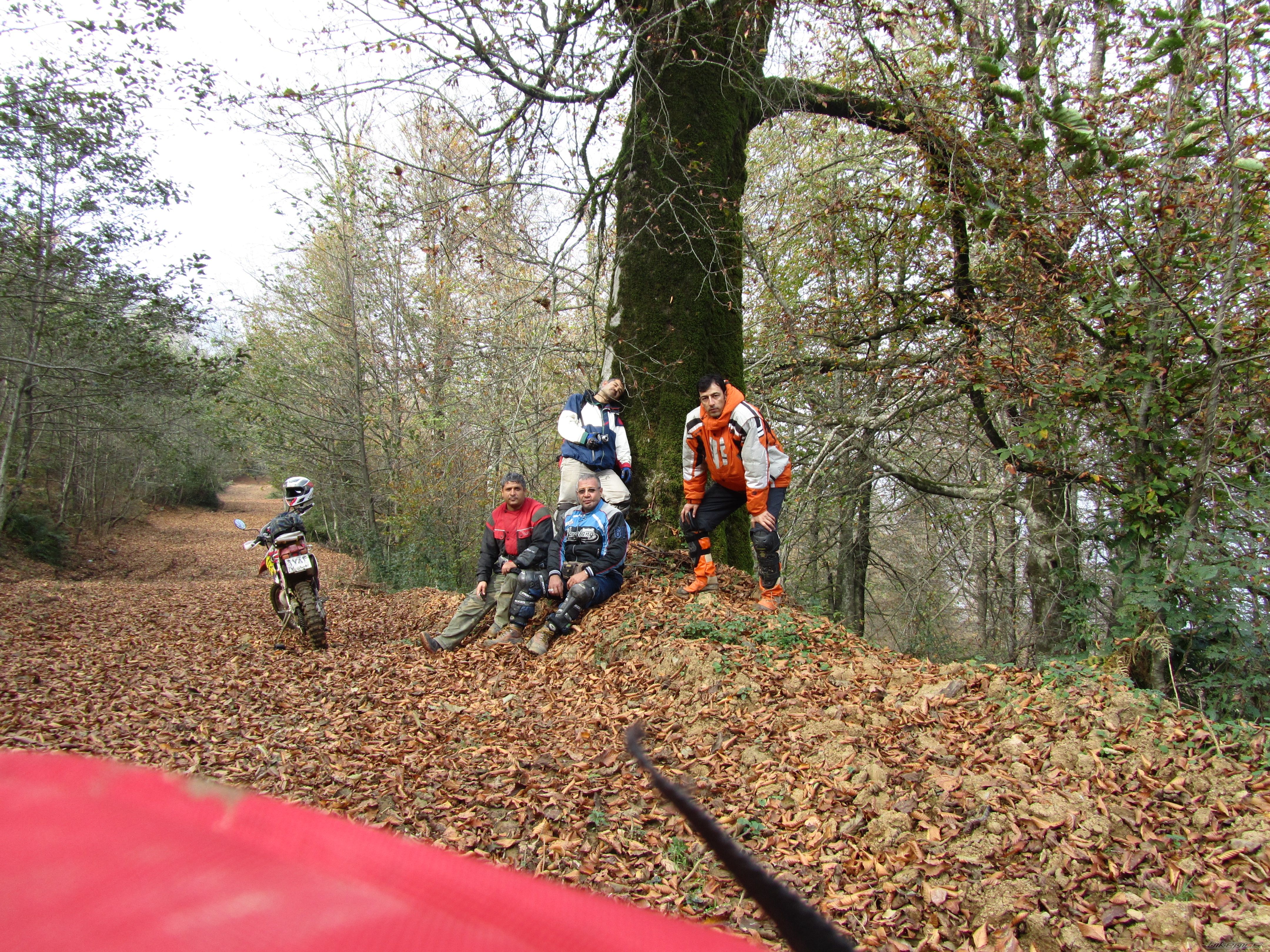 Bike Photo 2357808