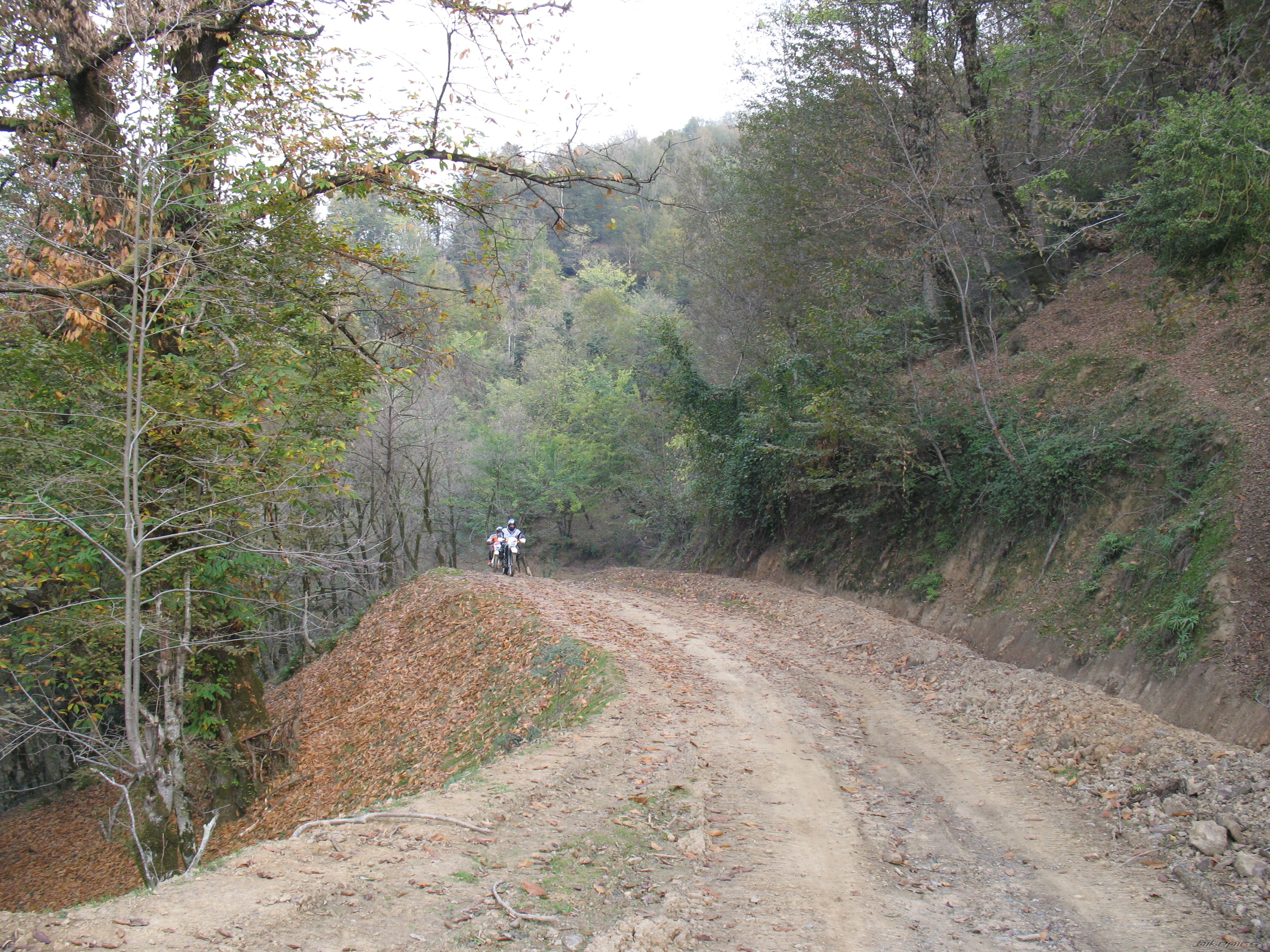 Photo 2357823