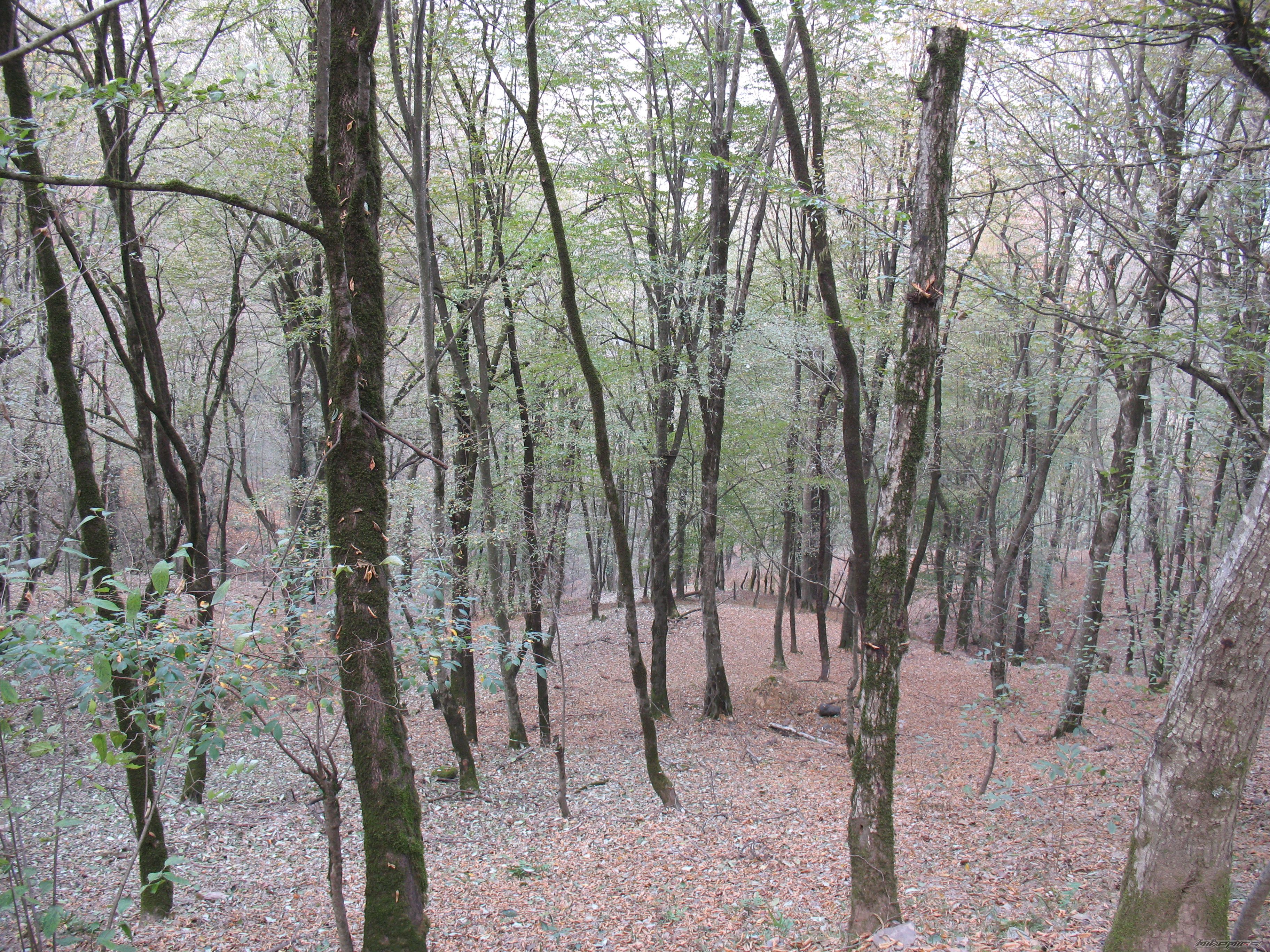 Photo 2357824