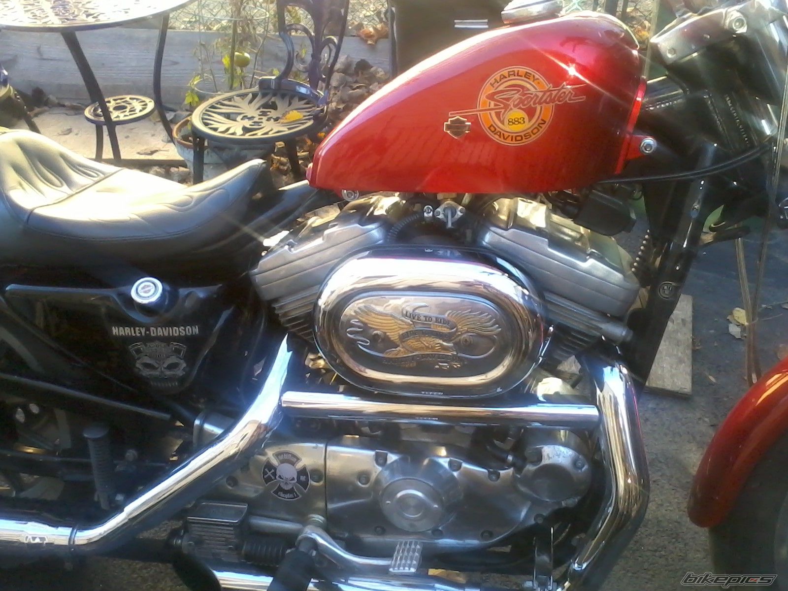 Photo 2357884
