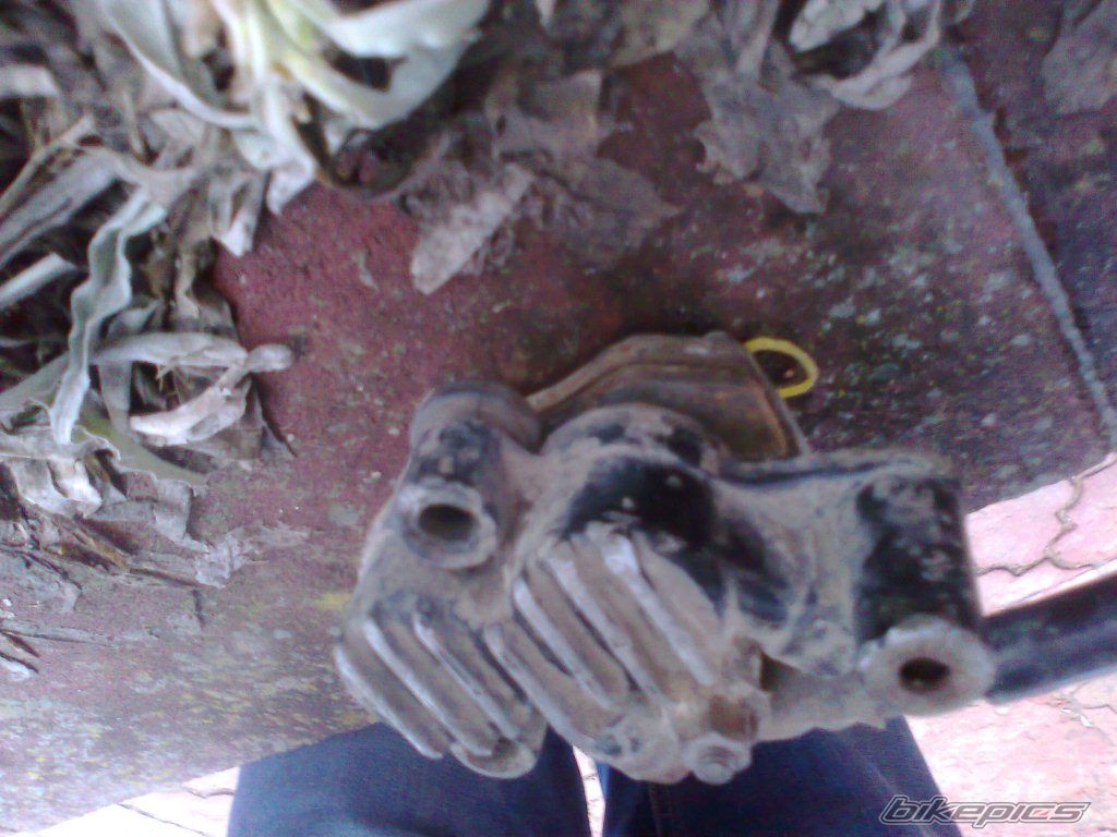 Photo 2357897