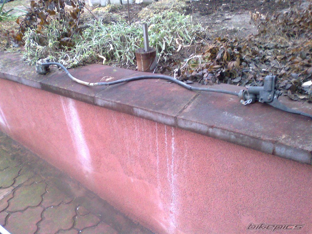 Photo 2357899