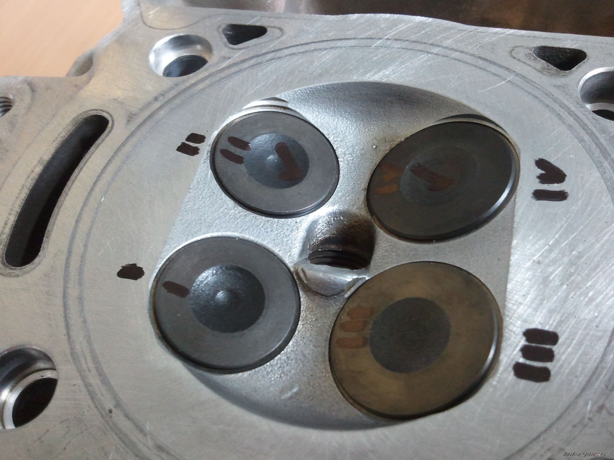 Photo 2357912