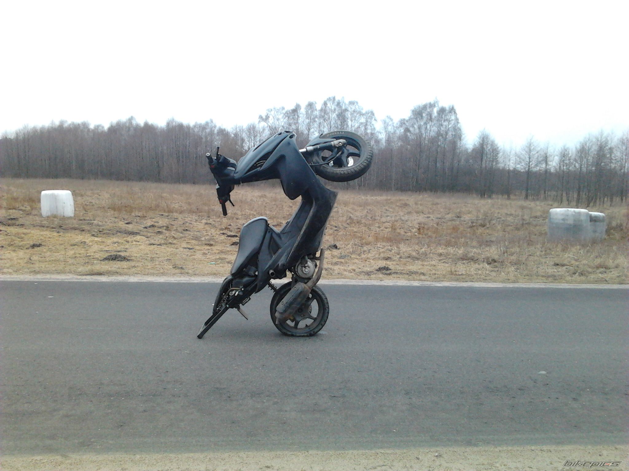 Photo 2357920