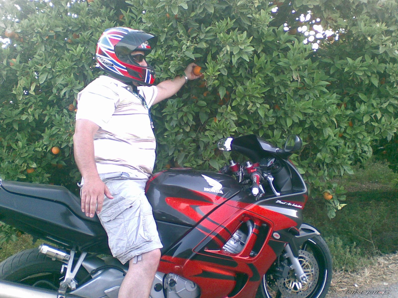 Photo 2357990