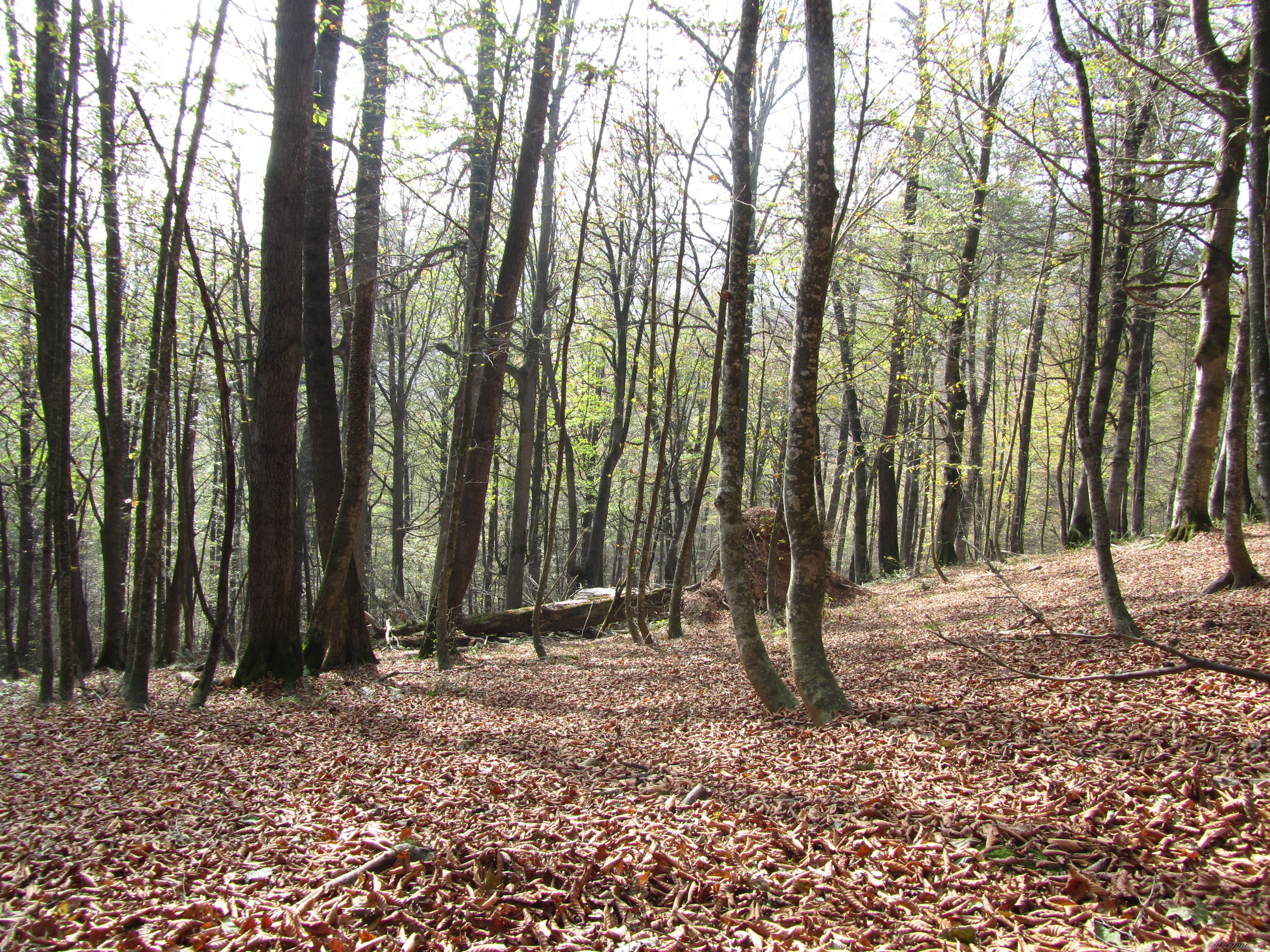 Photo 2358057