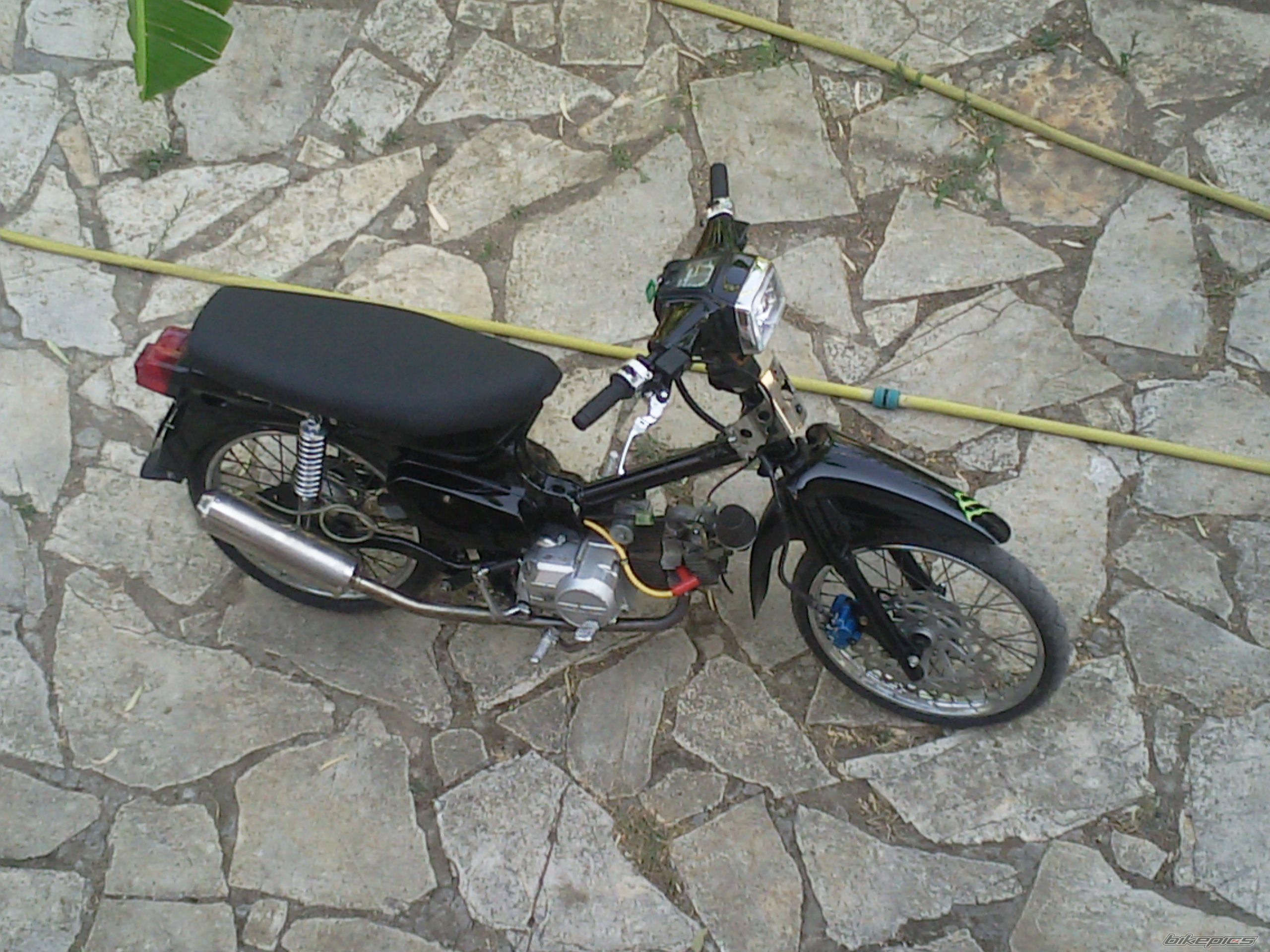 Photo 2358192