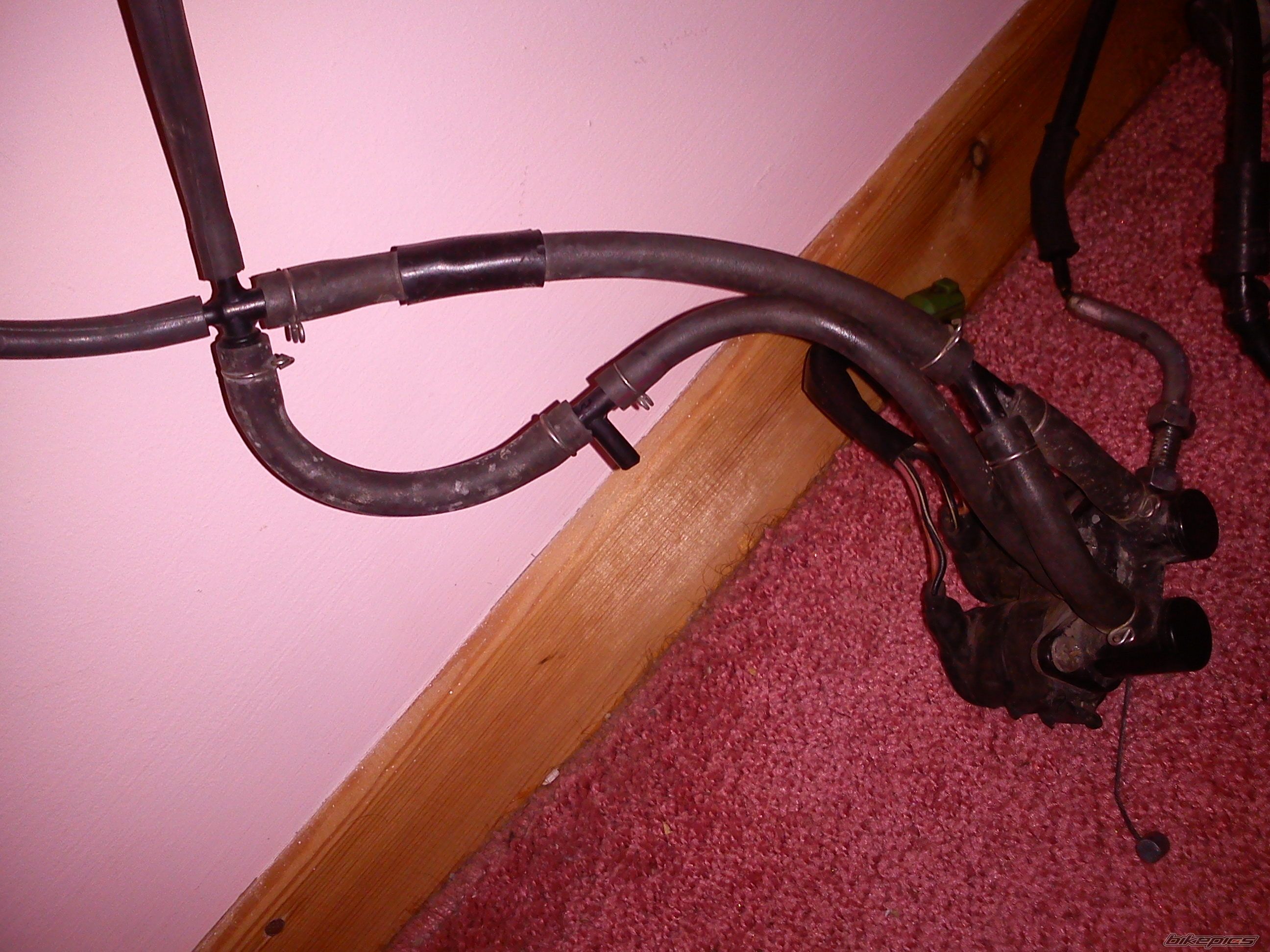 Photo 2358246