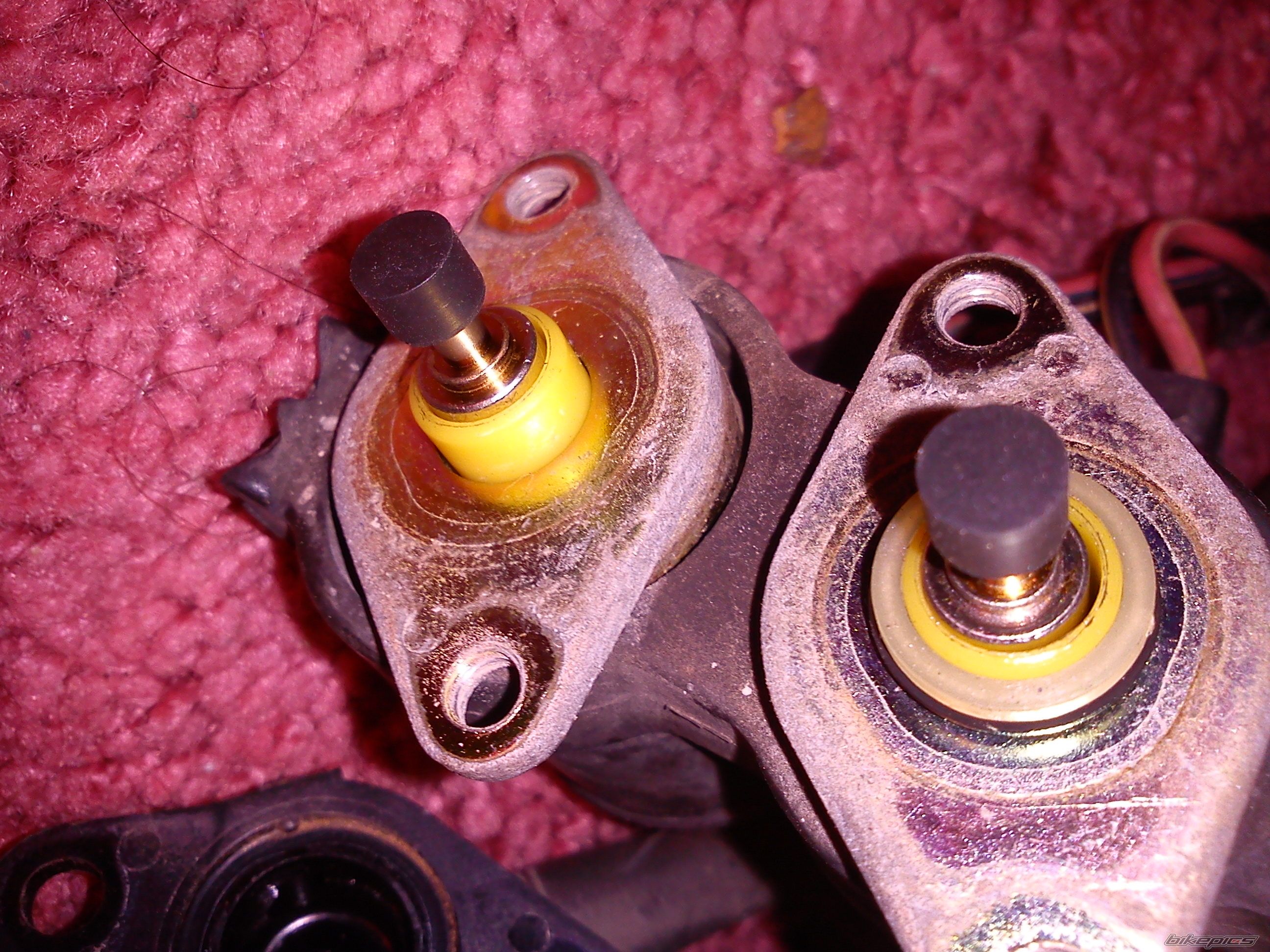 Photo 2358247