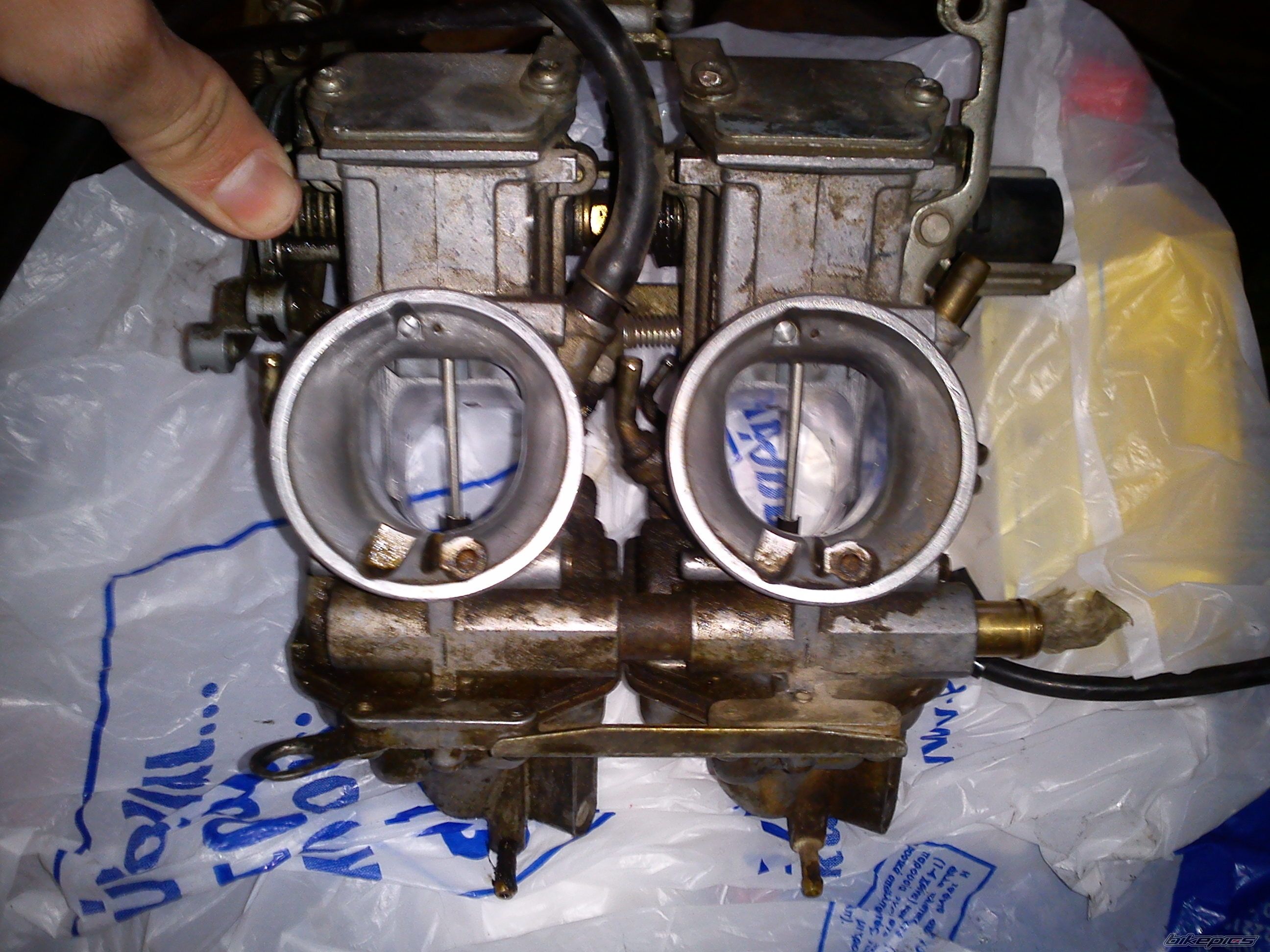 Photo 2358254