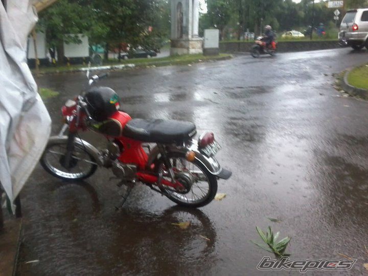 Photo 2358301