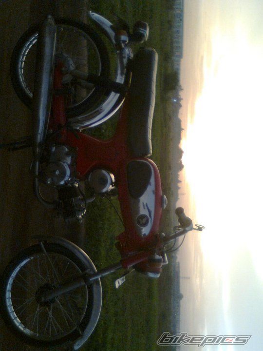 Photo 2358306