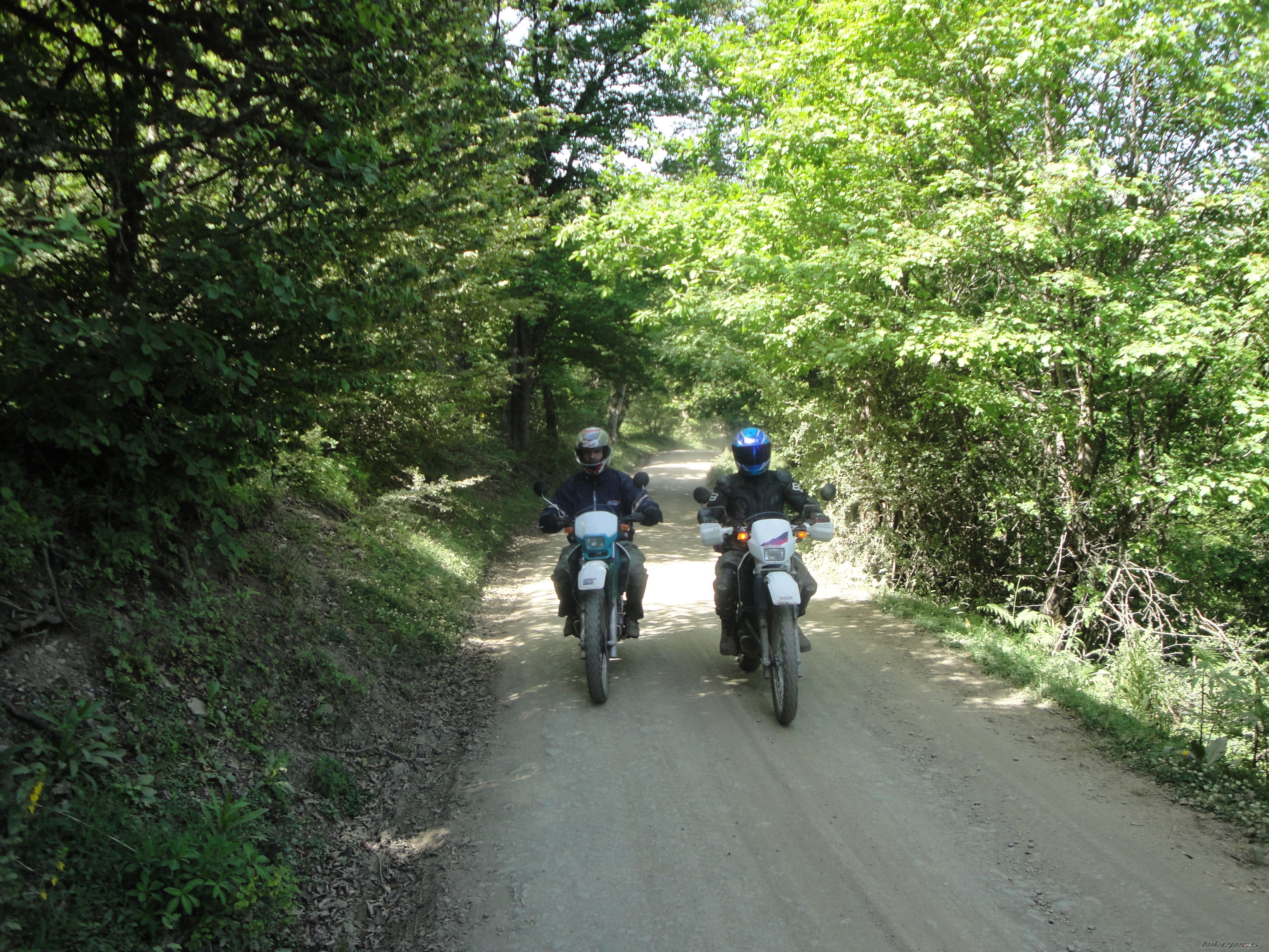 Photo 2358318