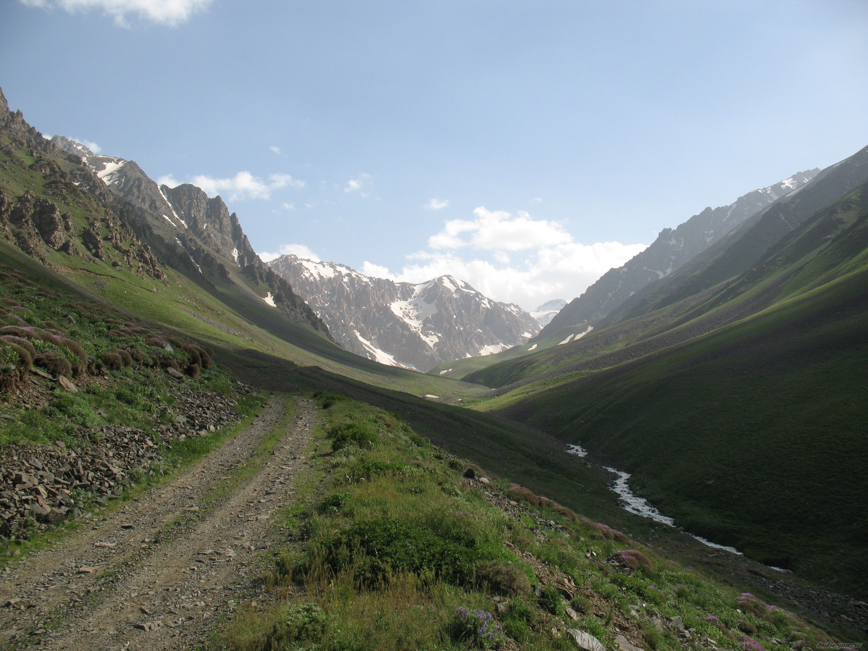 Photo 2358328