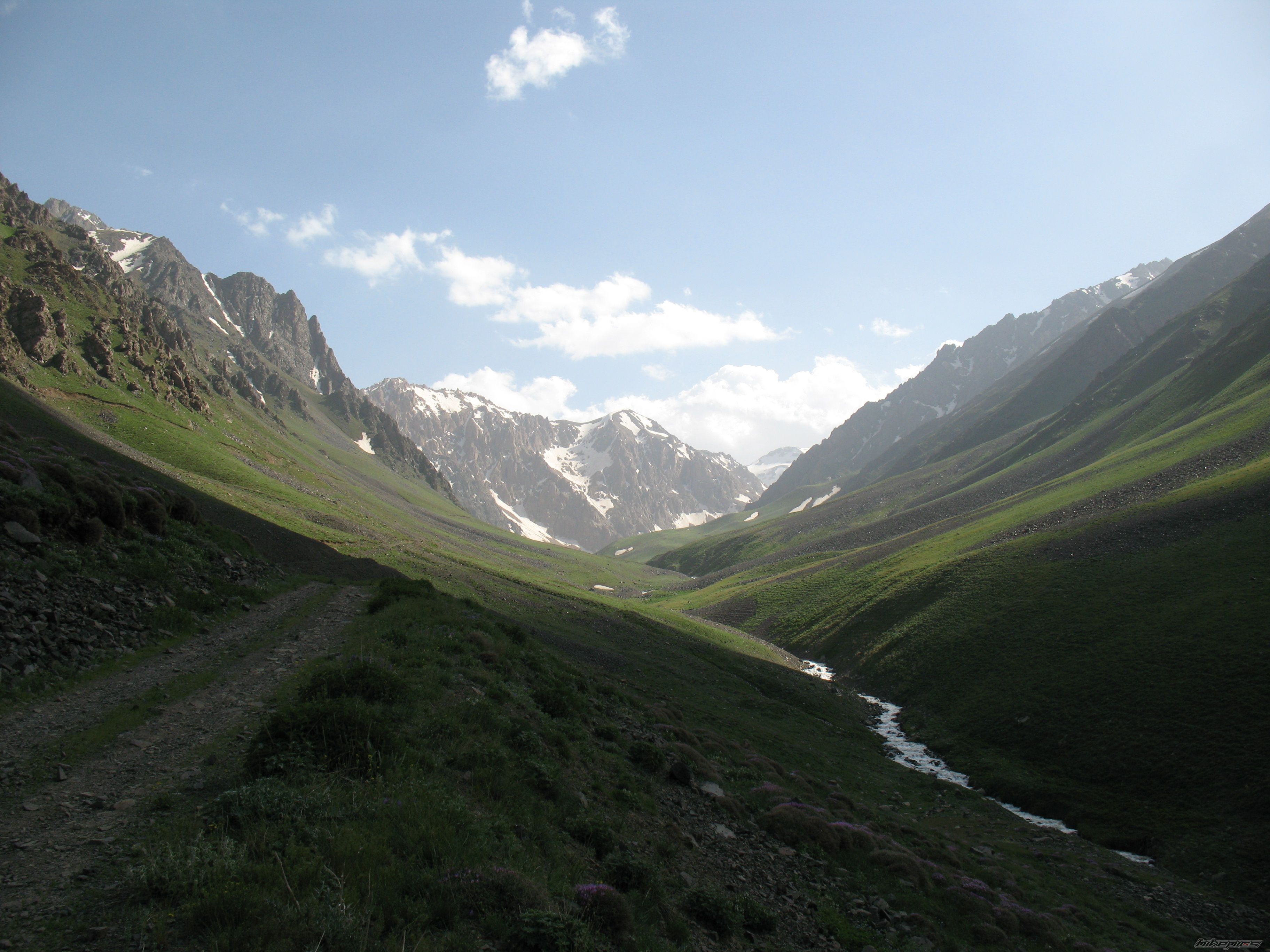 Photo 2358329