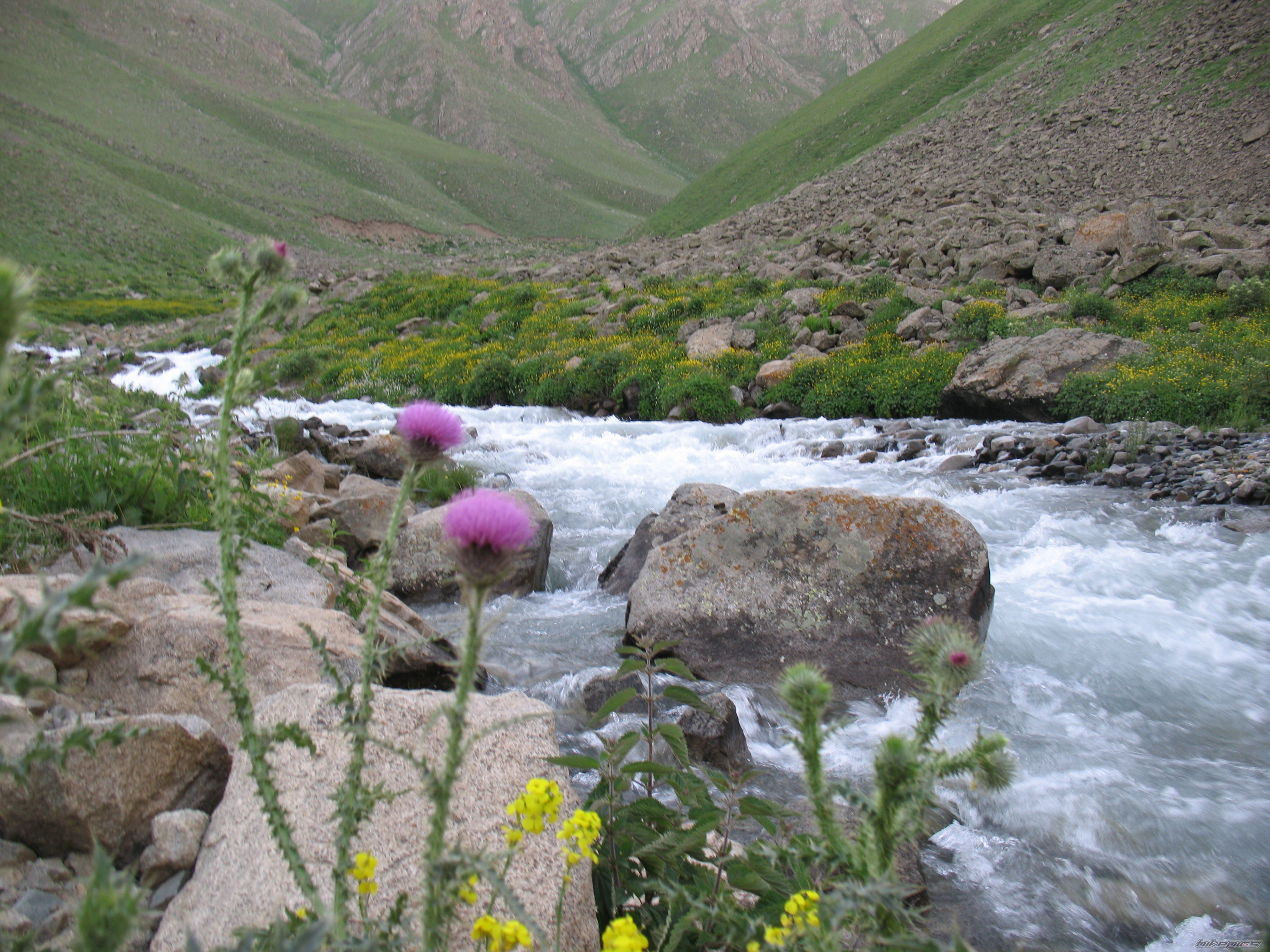 Photo 2358335