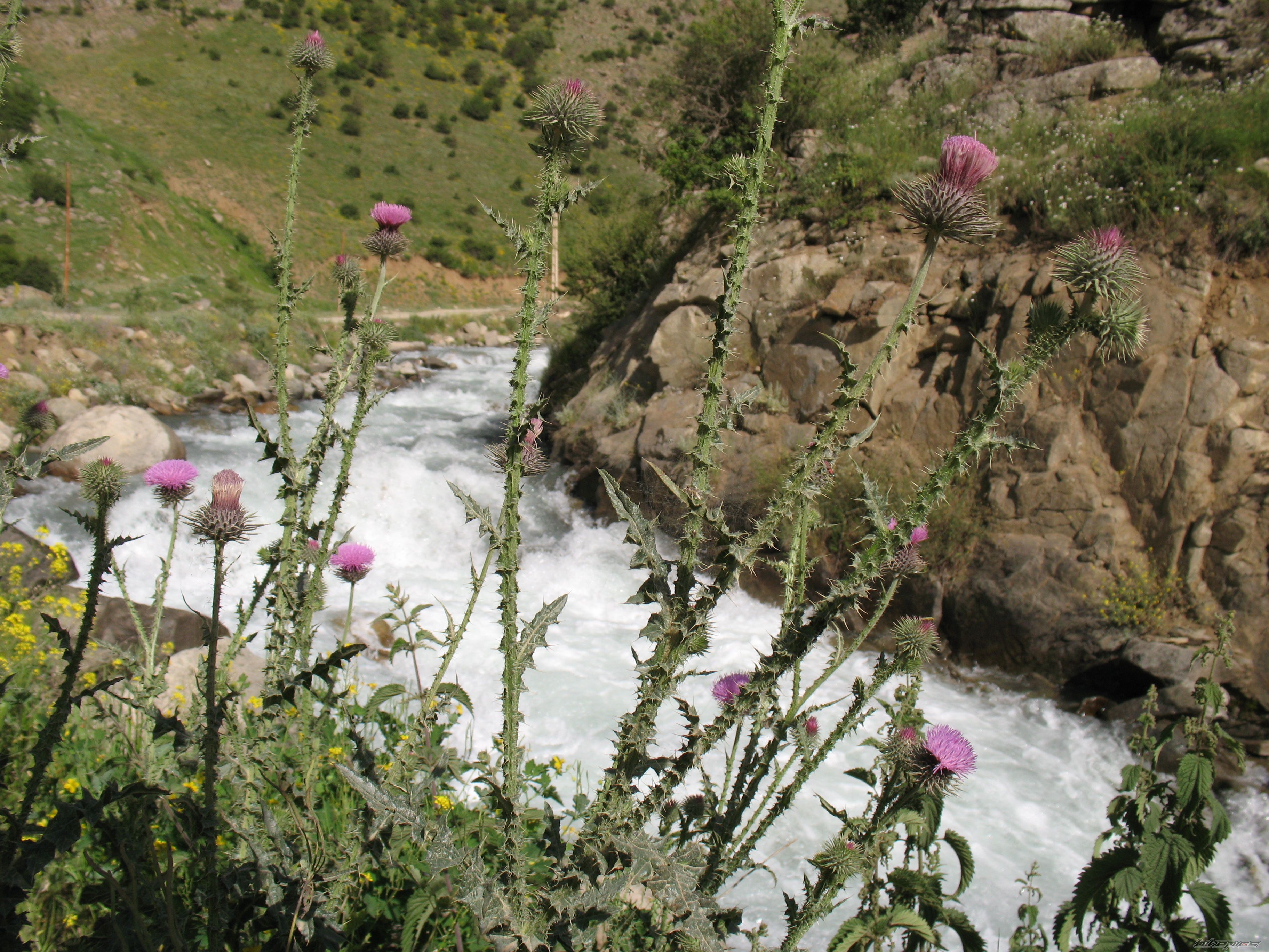 Photo 2358336