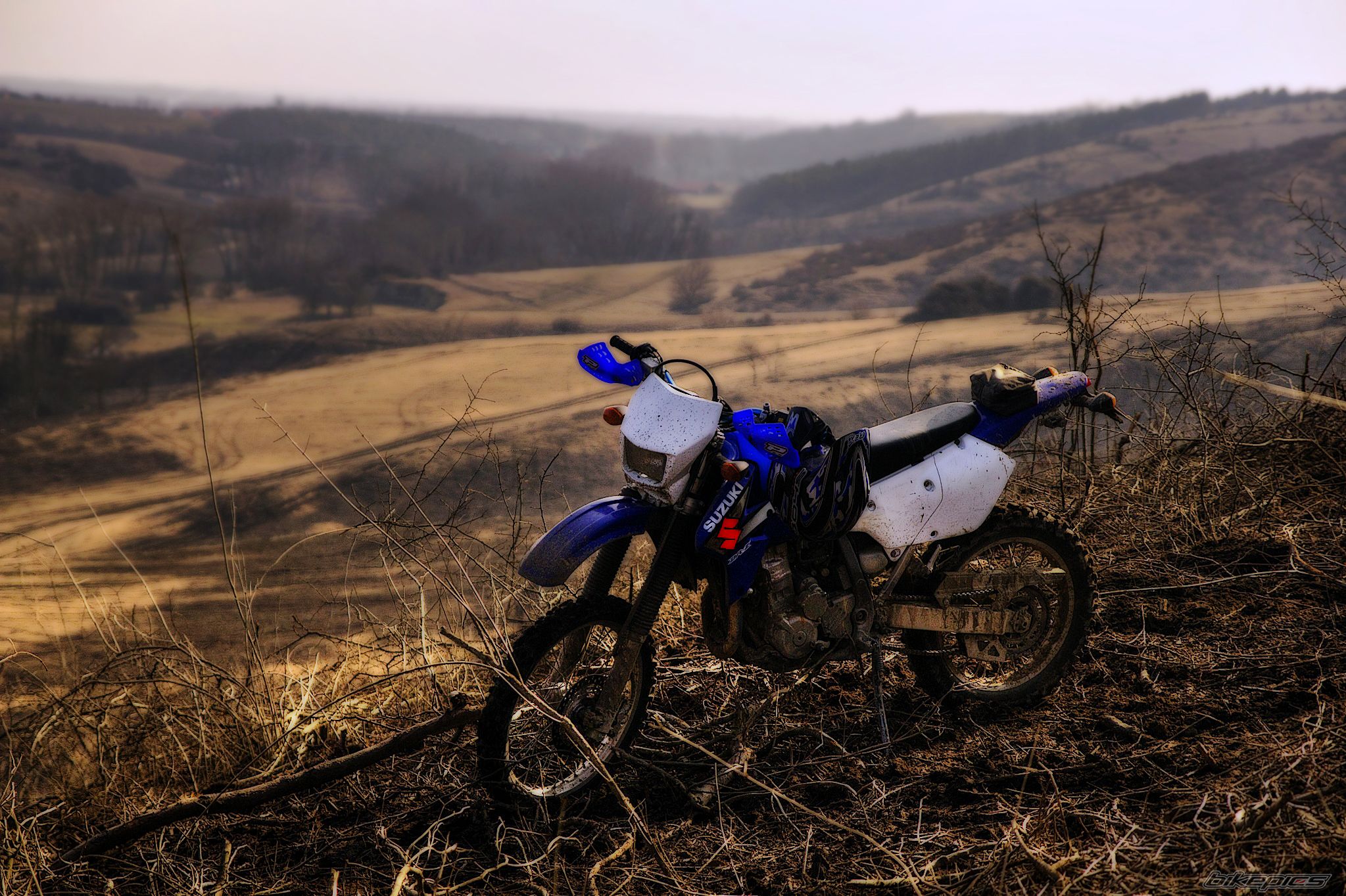 Photo 2358385