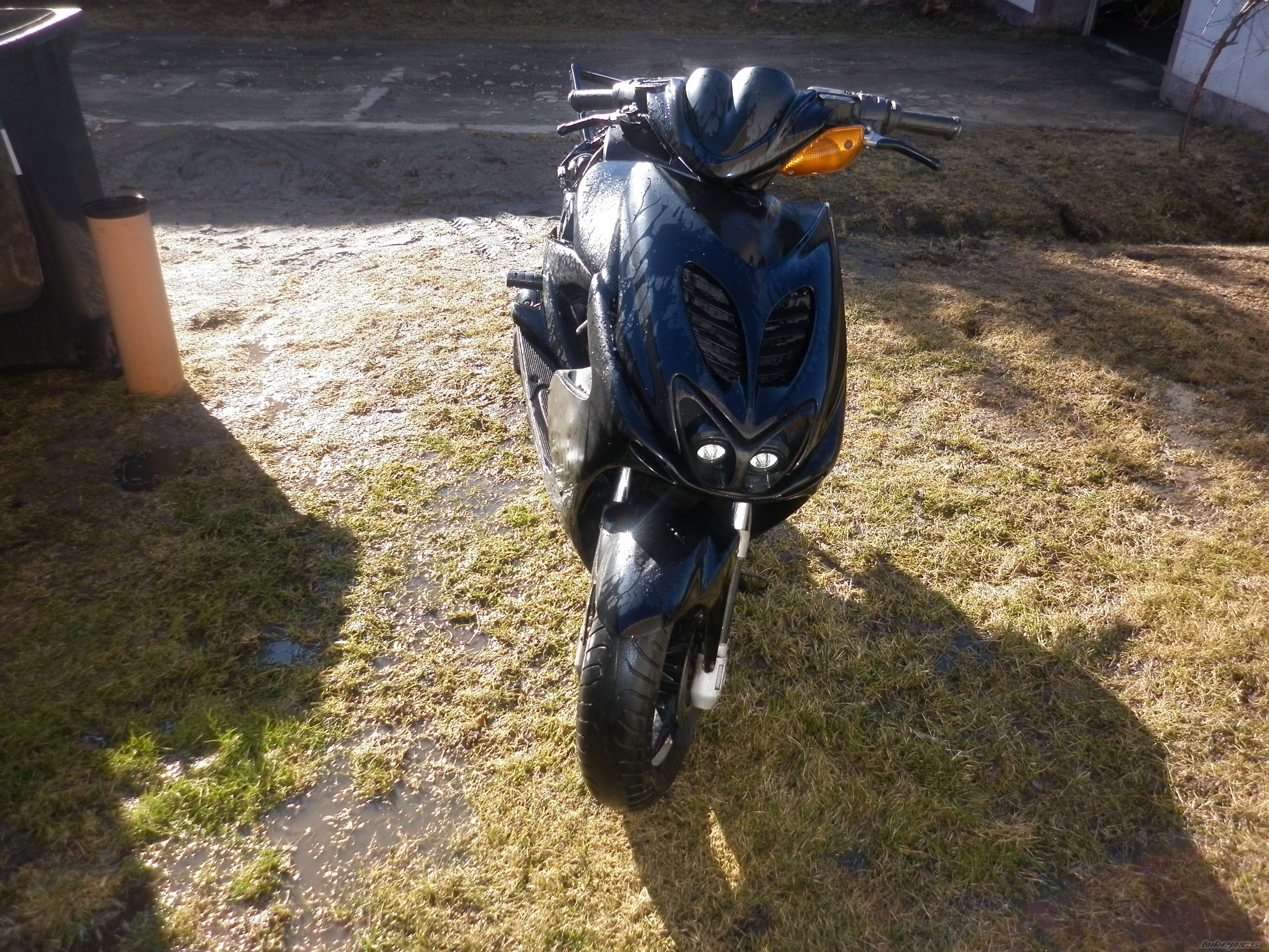 Photo 2358483
