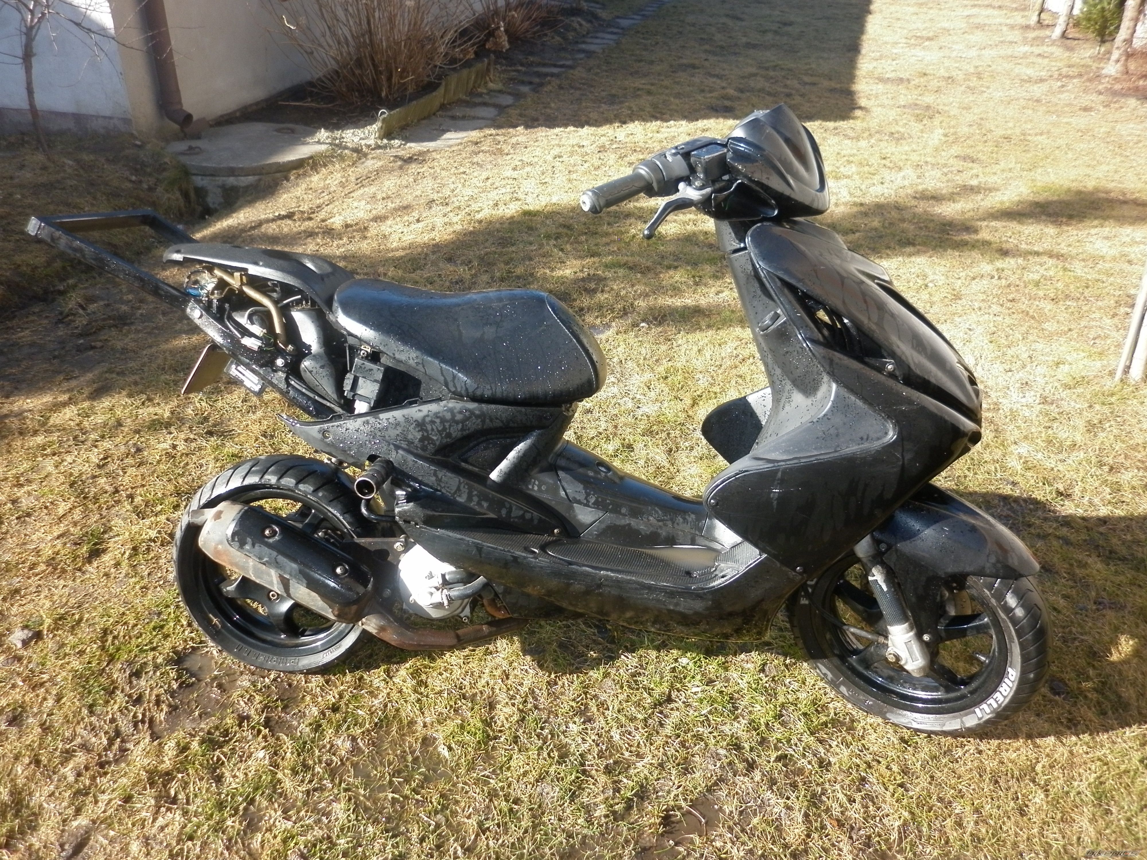 Photo 2358489