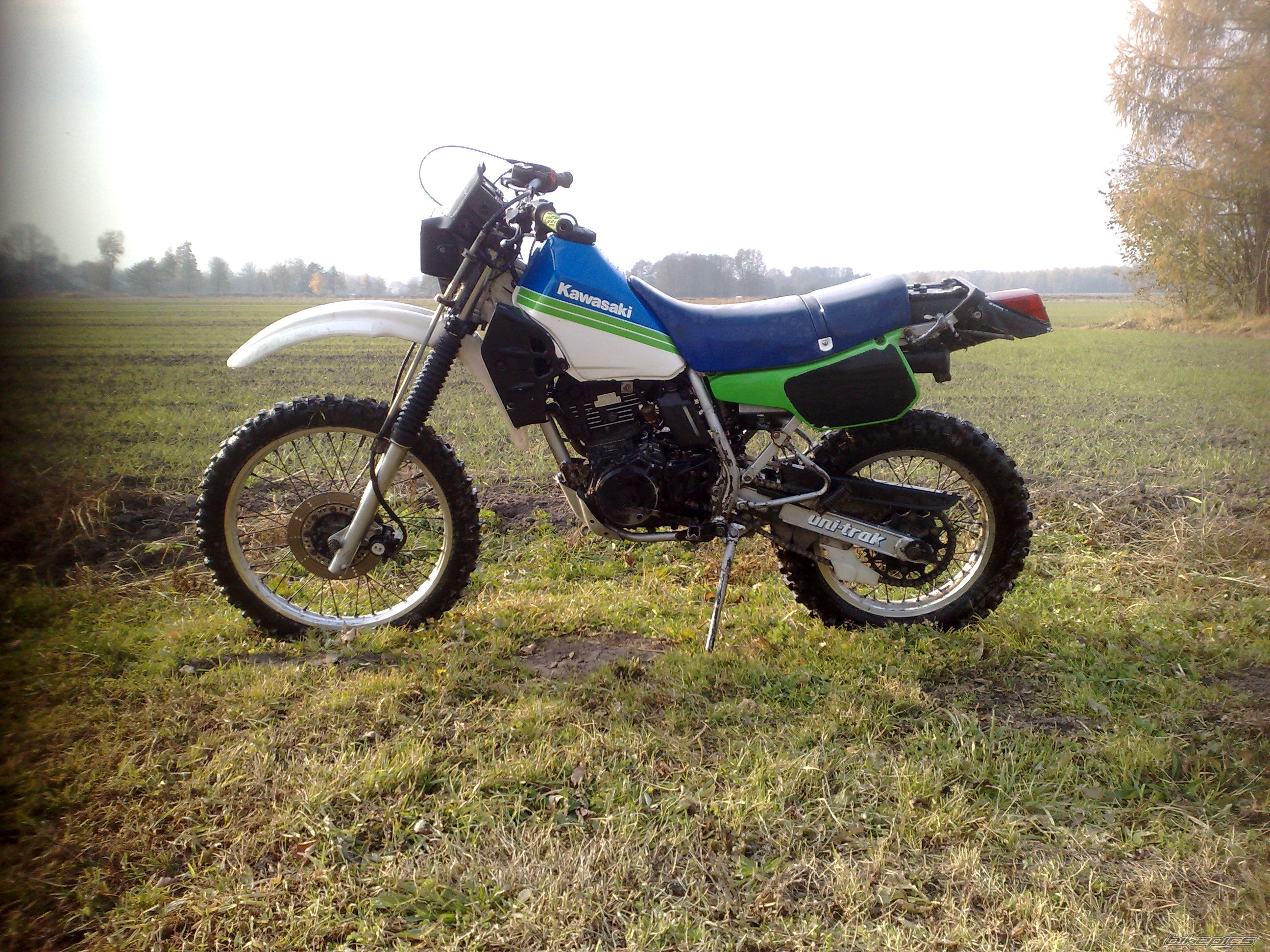 Photo 2358733