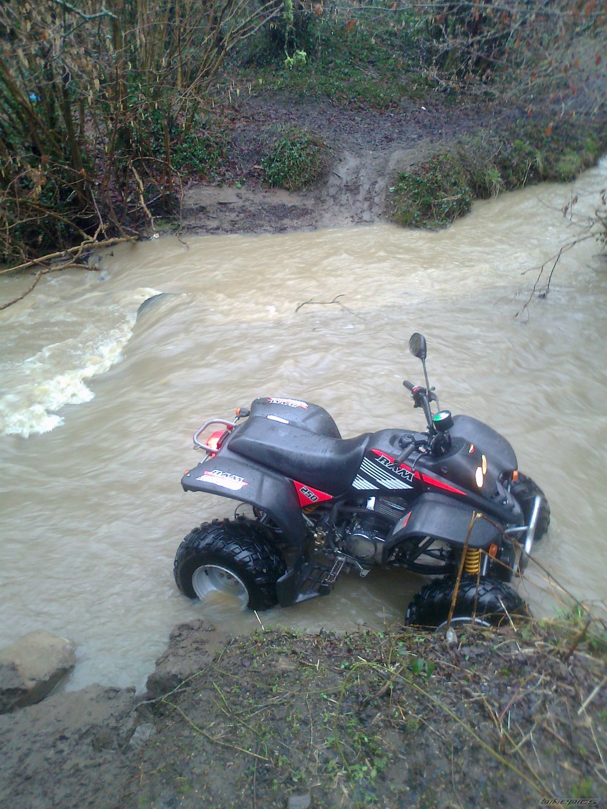 Photo 2358803